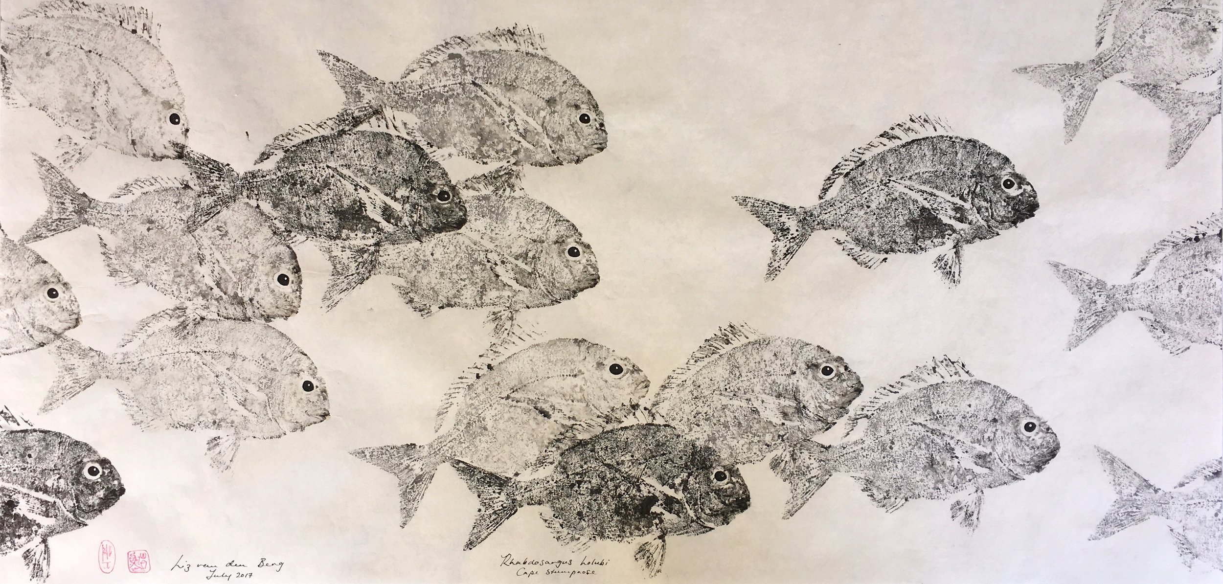 CAPE STUMPNOSE SHOAL