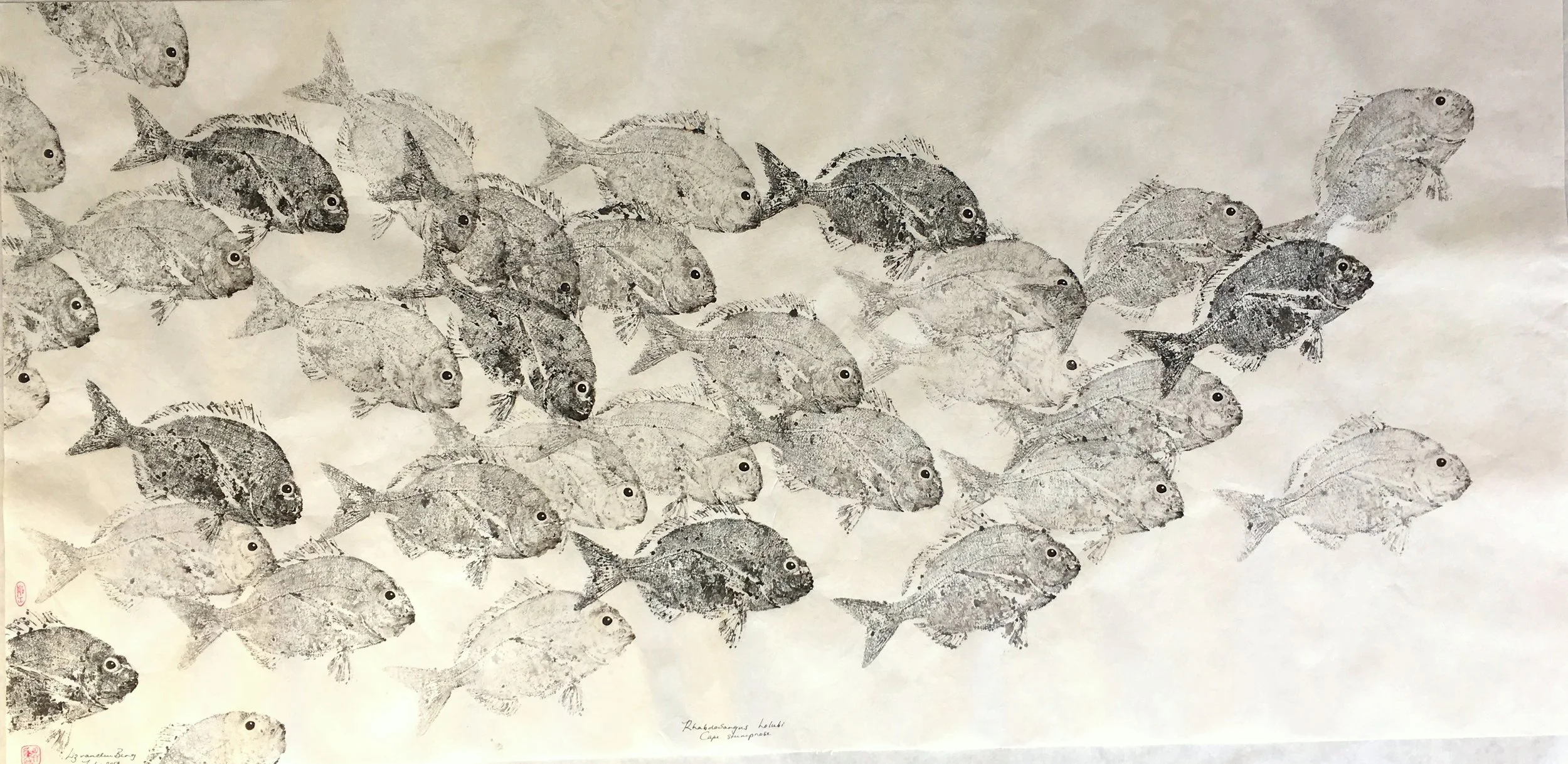 CAPE STUMPNOSE SHOAL
