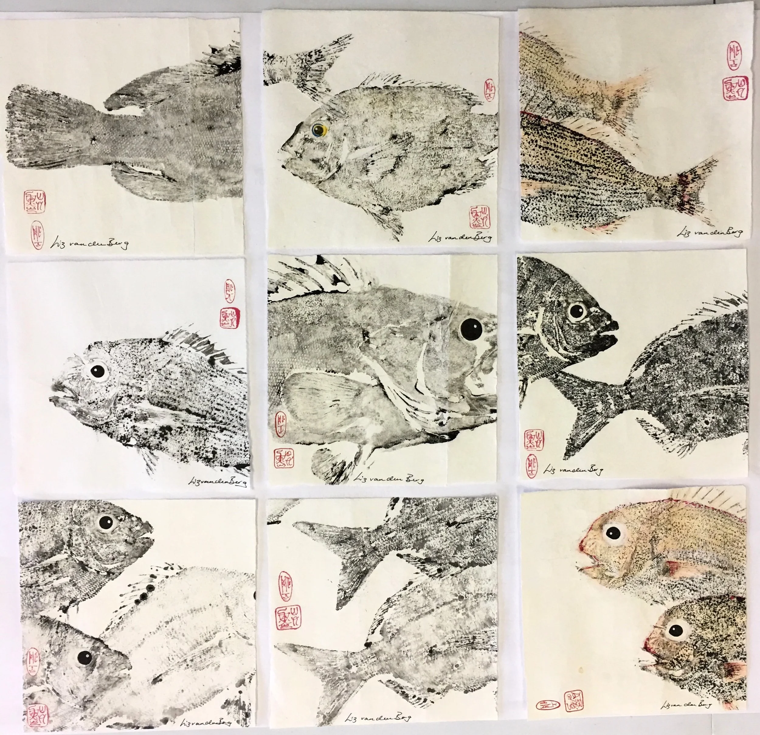 FullSizeRender (97).JPG