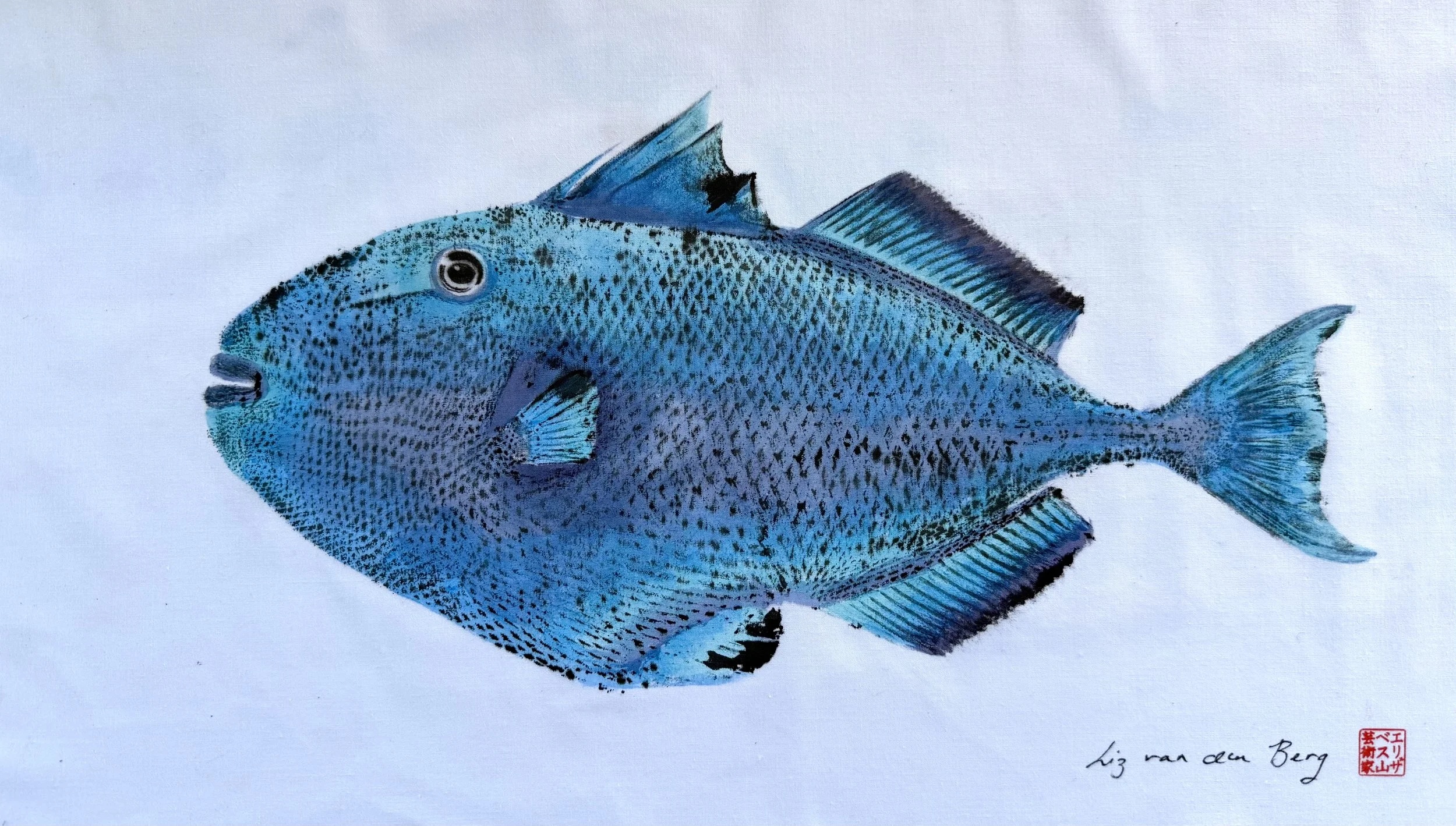 Triggerfish