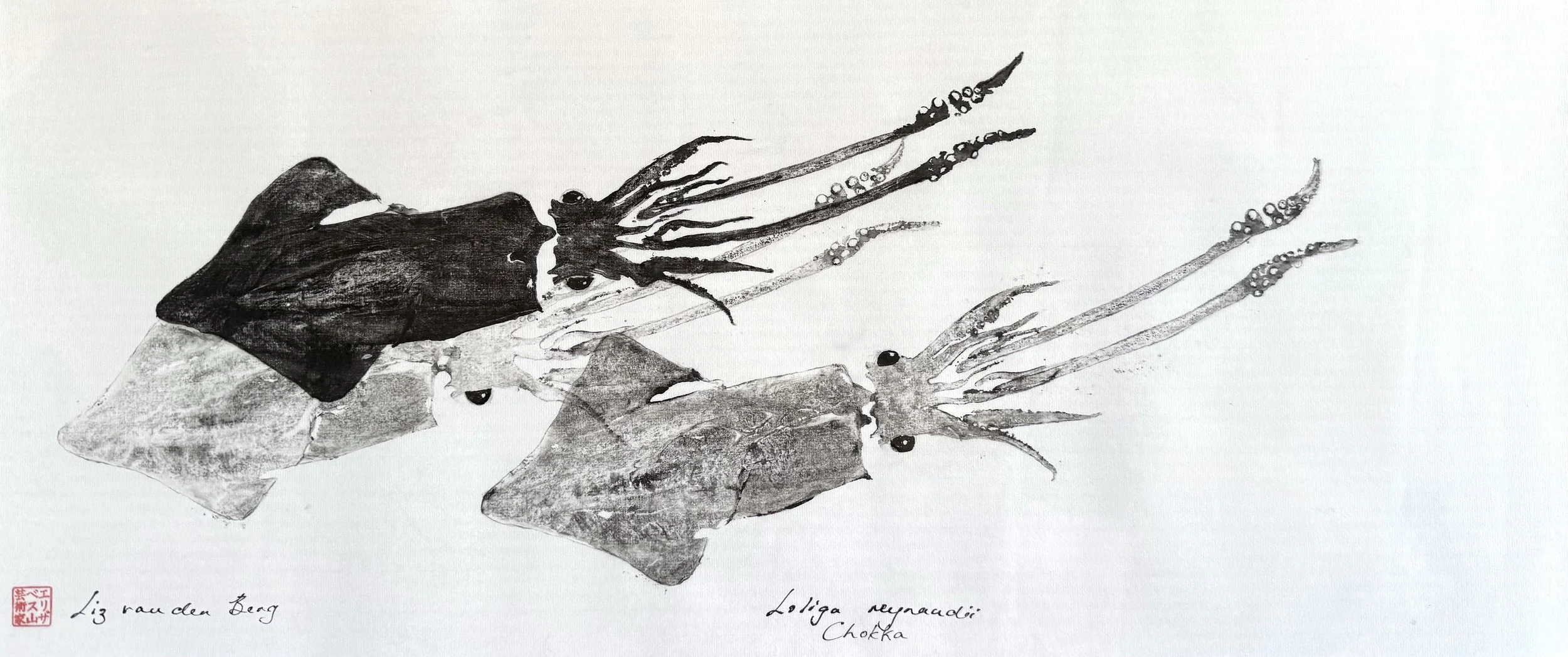 Squid Trio