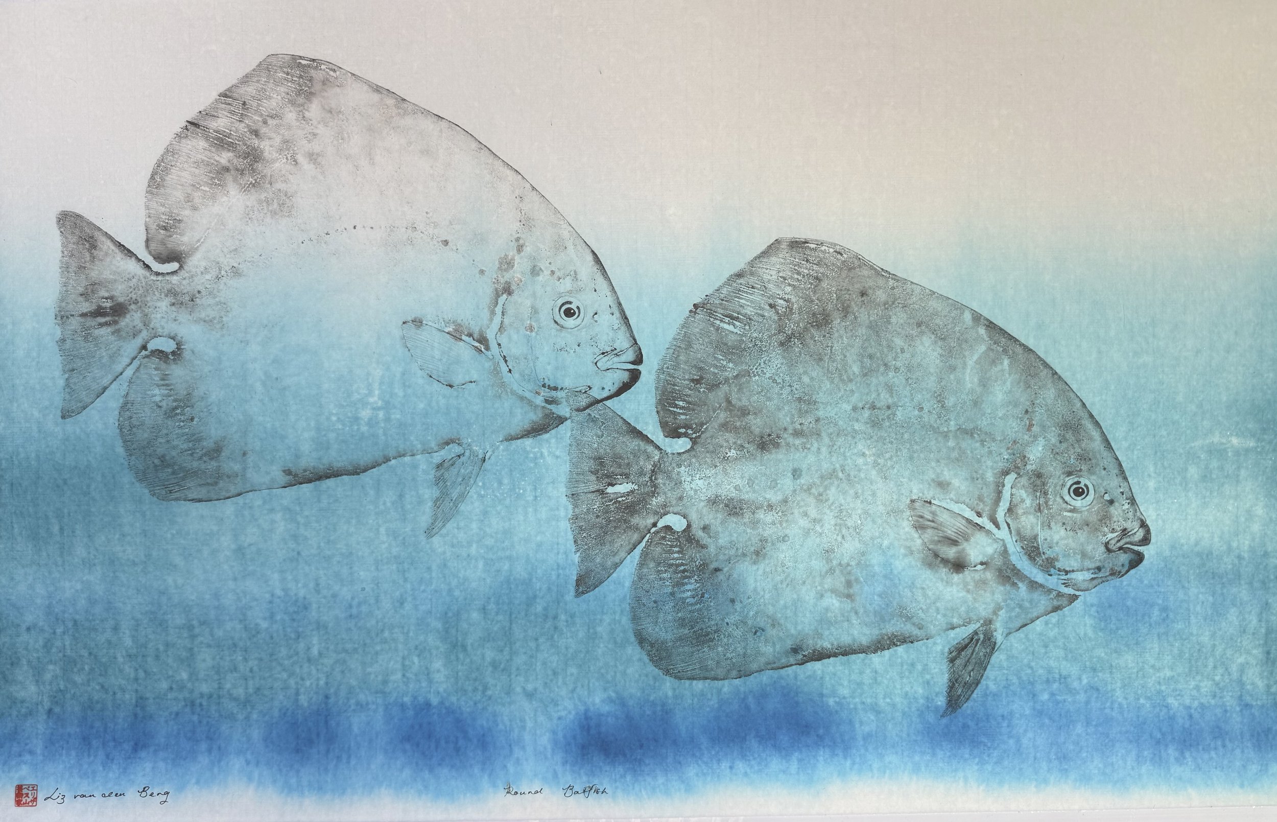 Batfish pair # 2