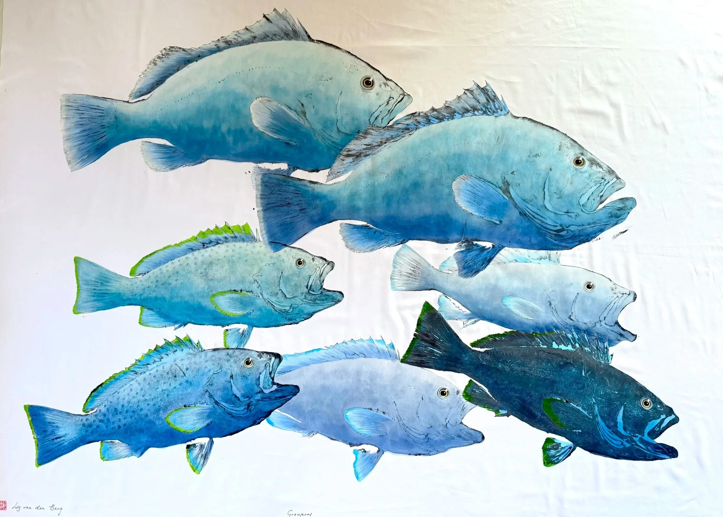 Groupers blue
