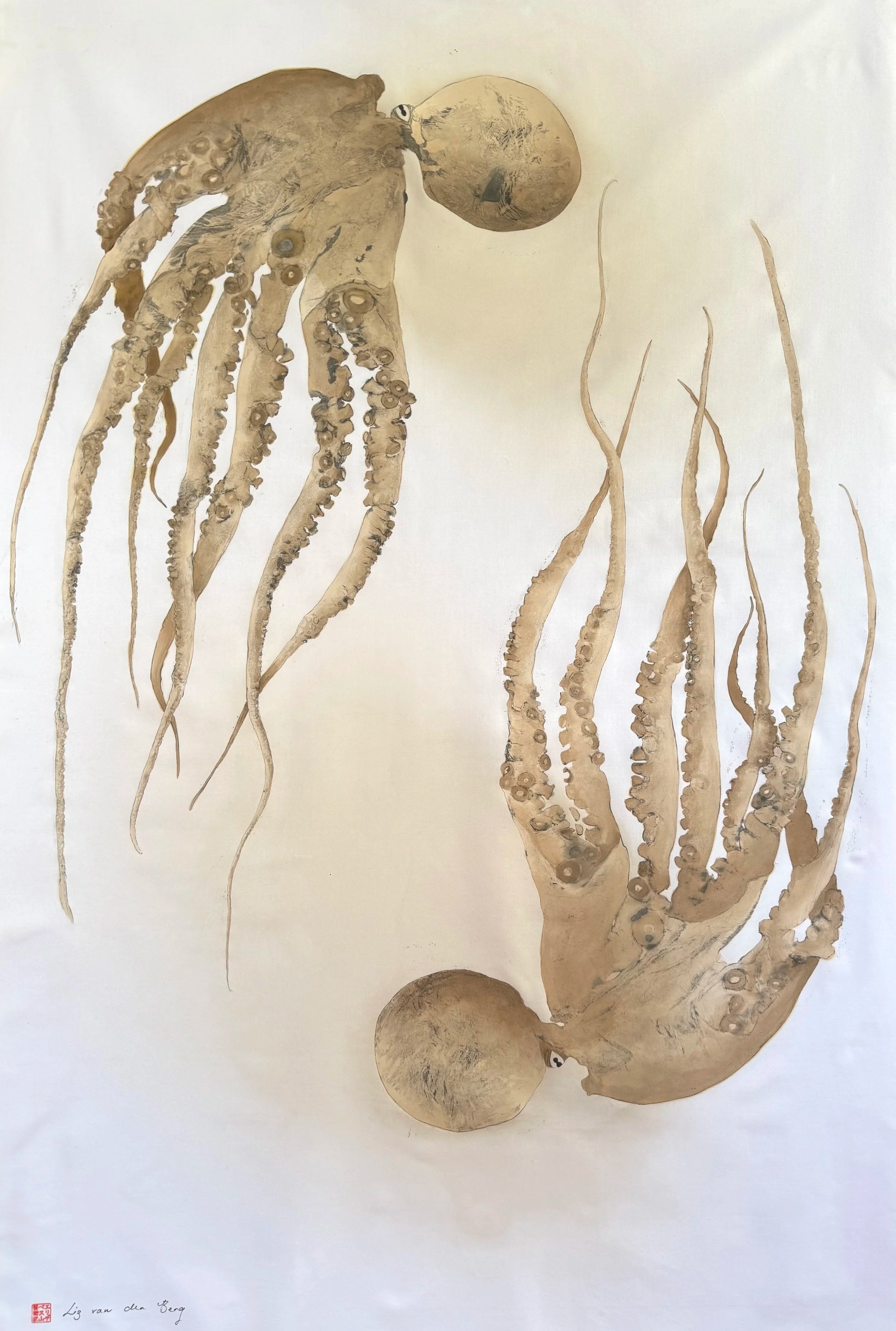 Octopus pair brown # 1
