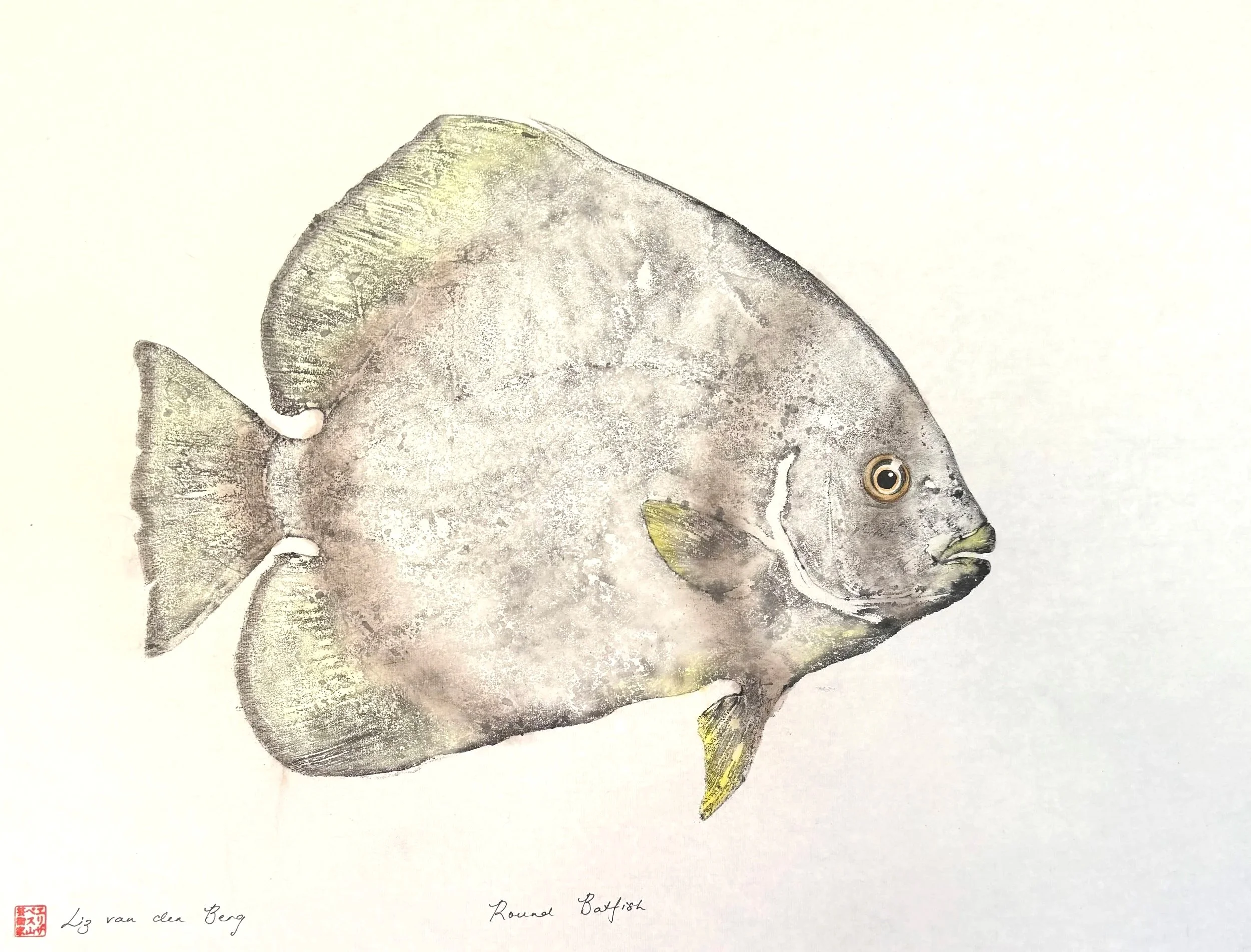 Batfish light