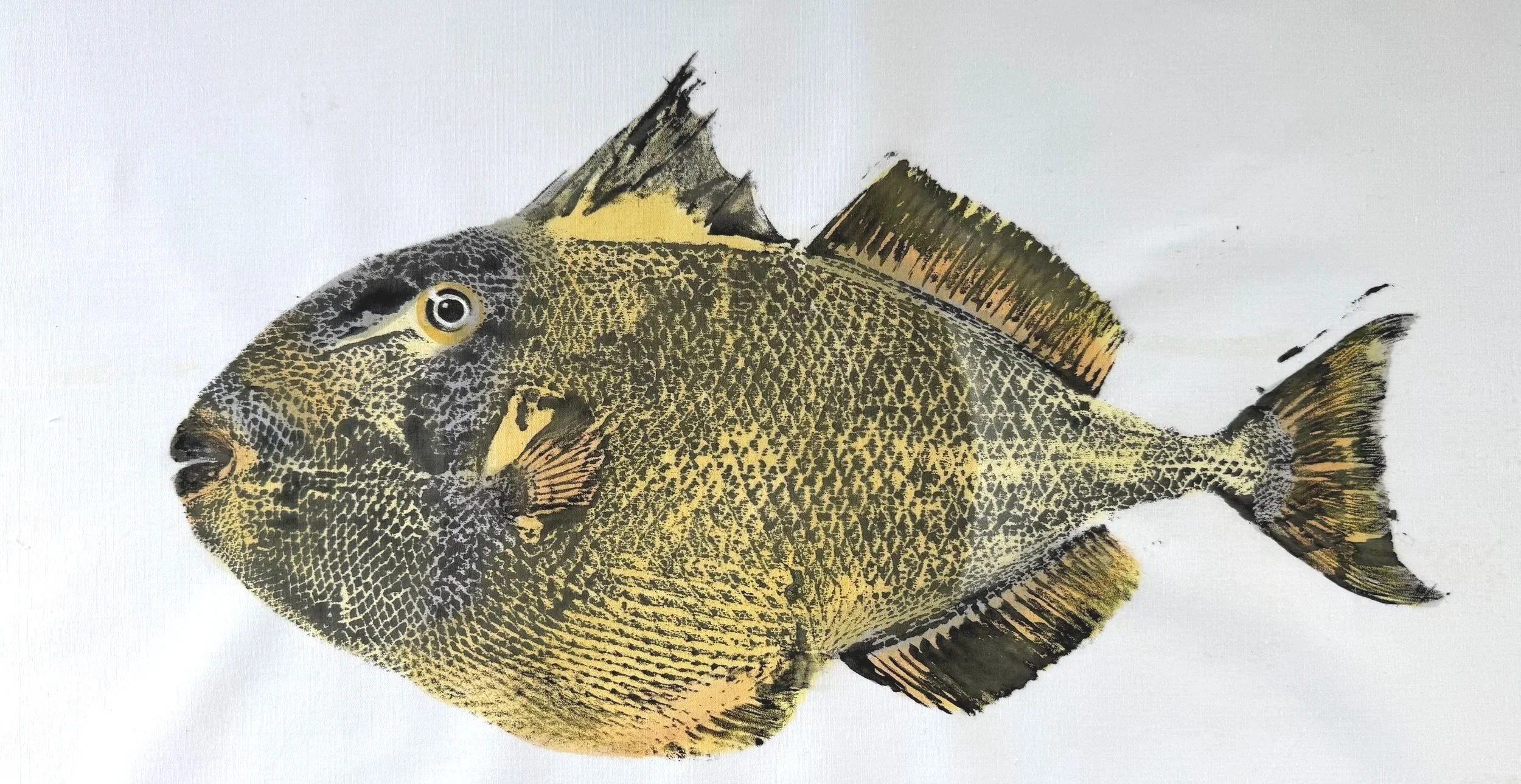 Triggerfish yellow # 1