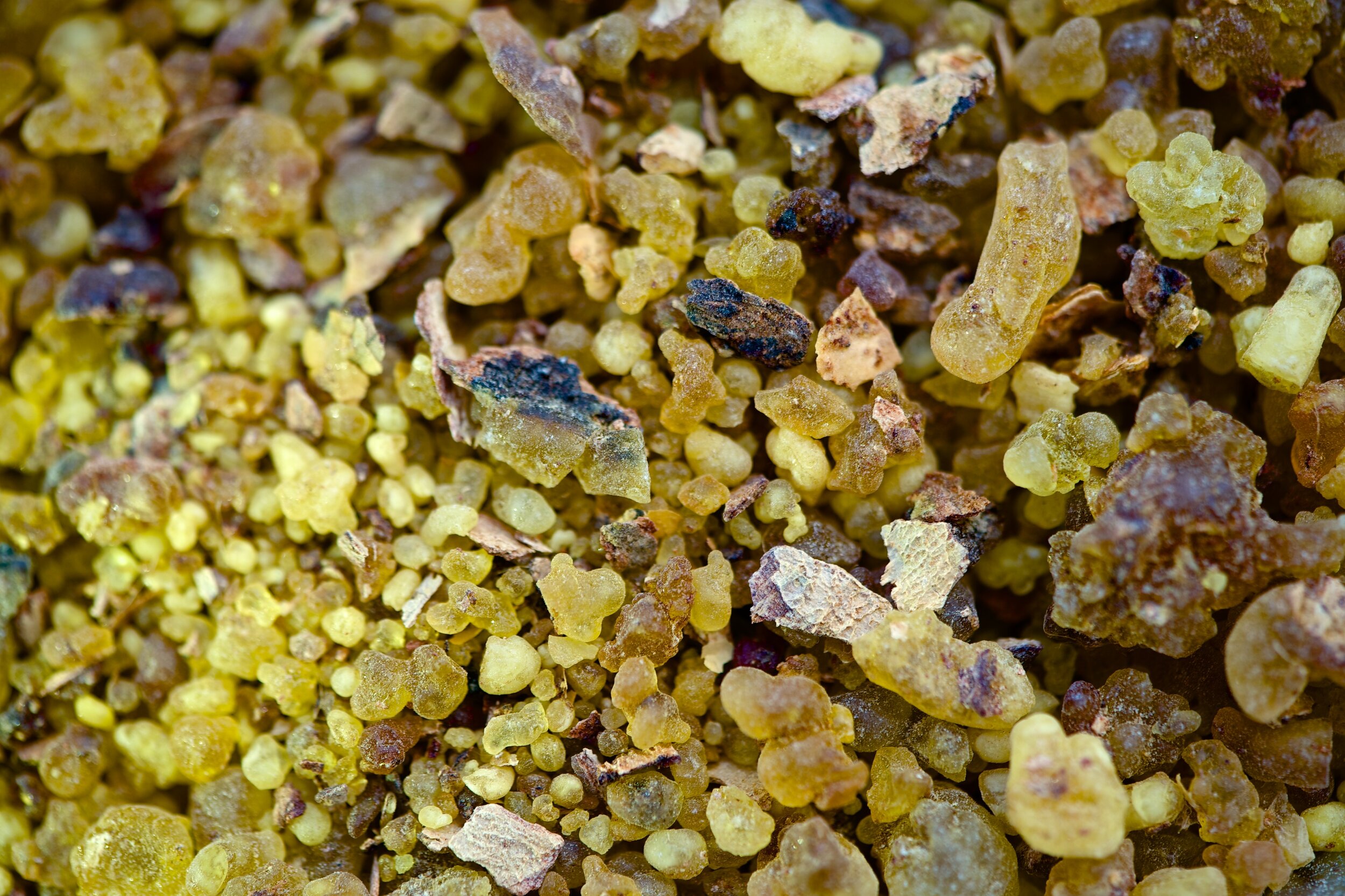 Textures of the site 13.jpg