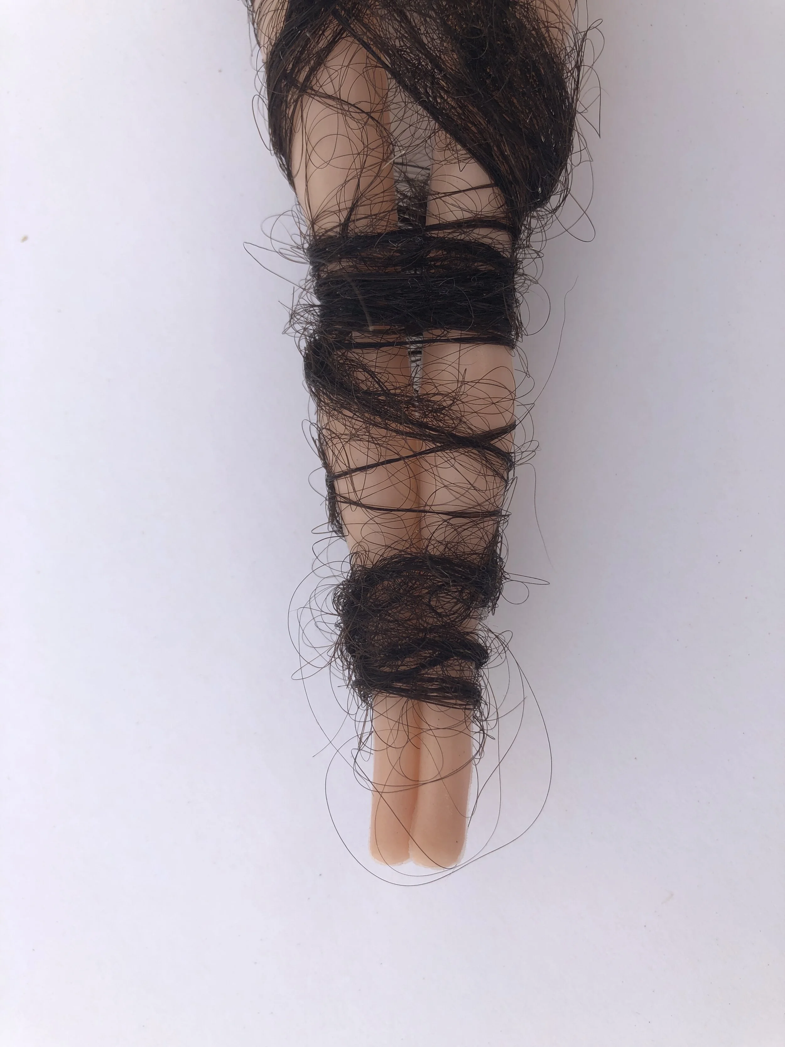 Pupa-04.jpeg