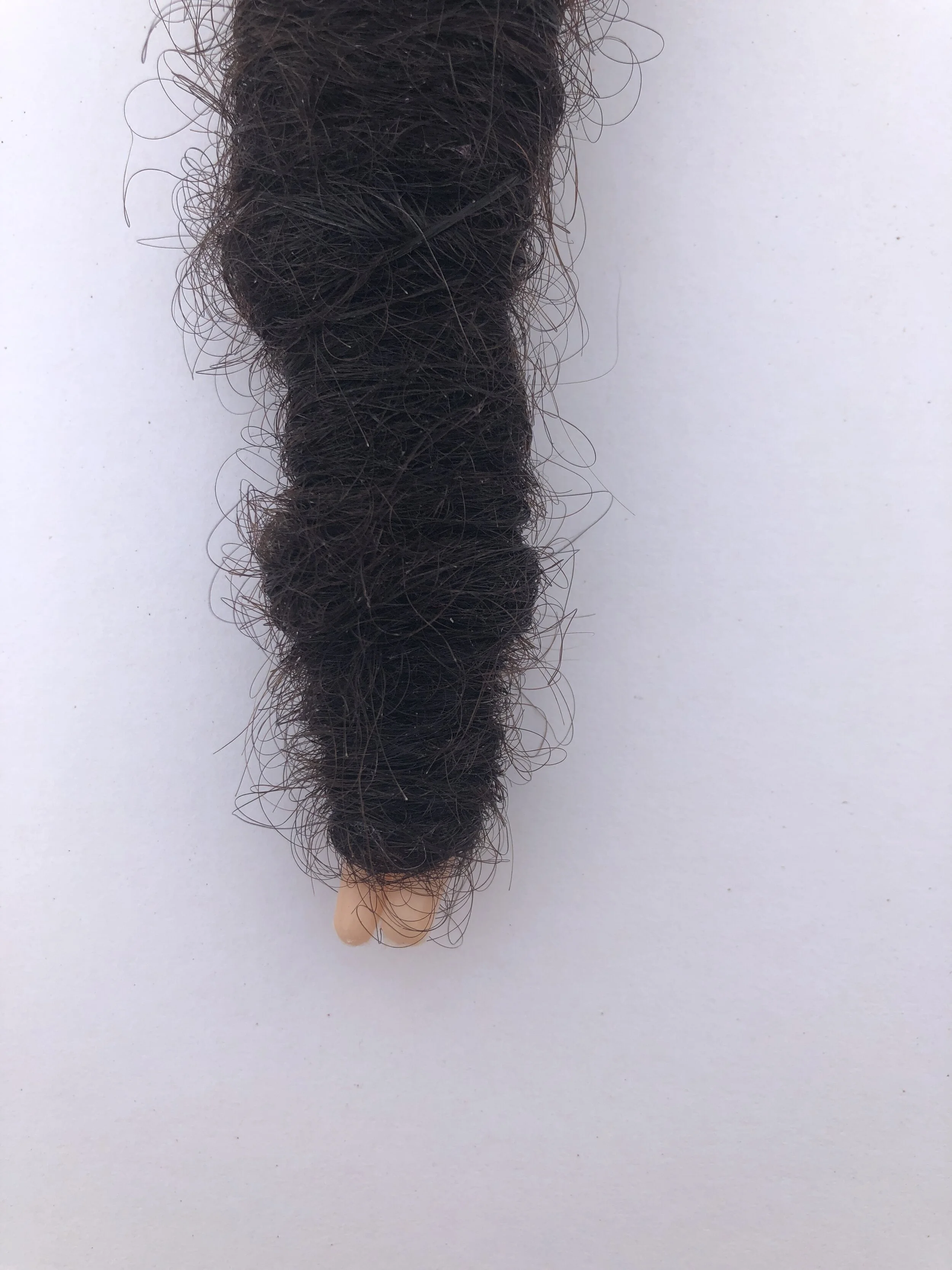 Pupa-05.jpeg