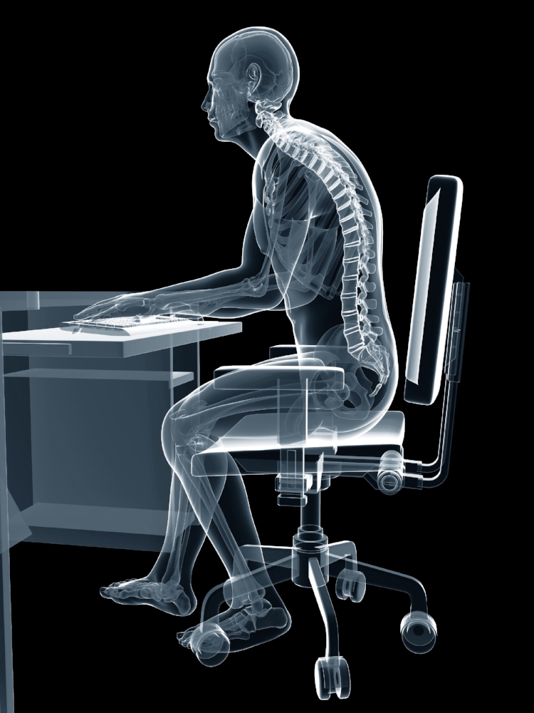 Sitting Spine.jpg