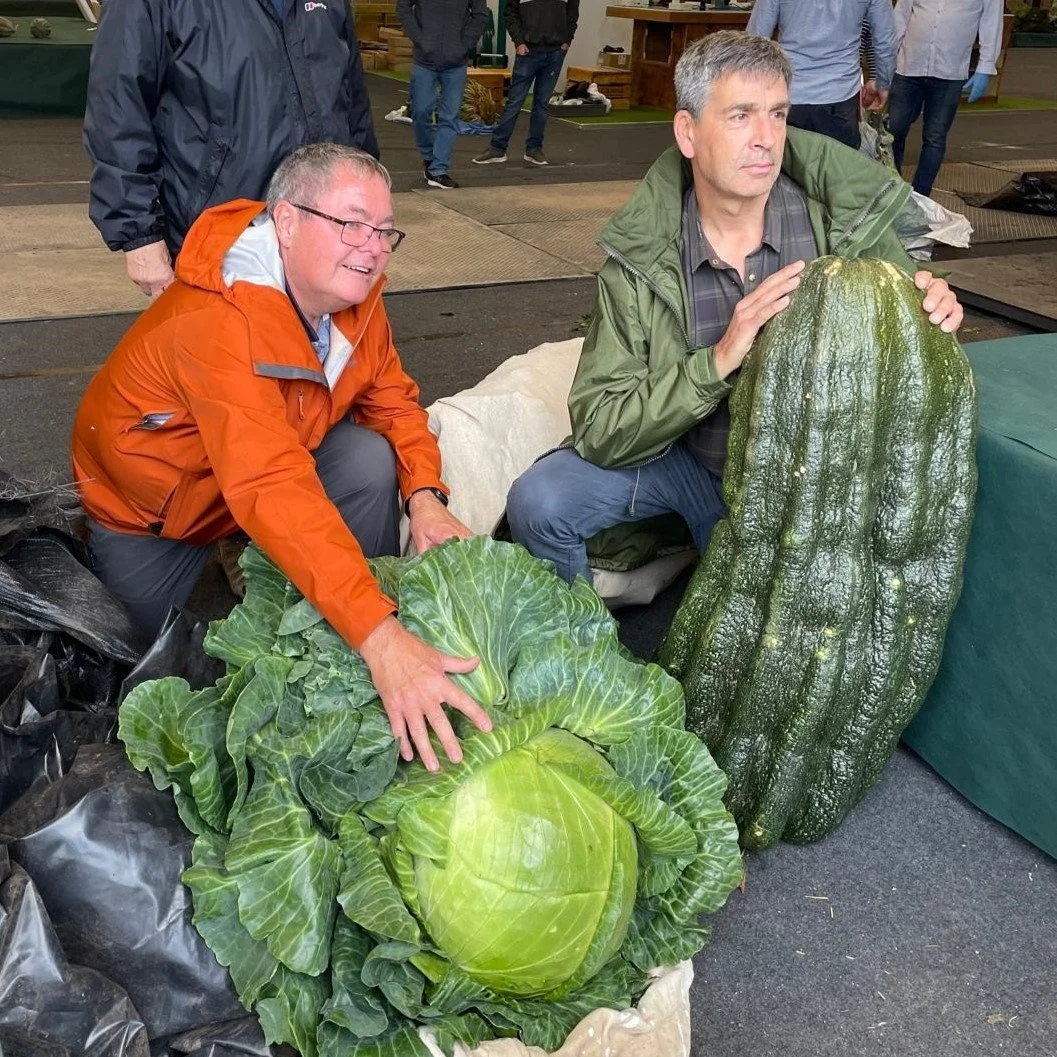 Giant Vegetables and Office Seating