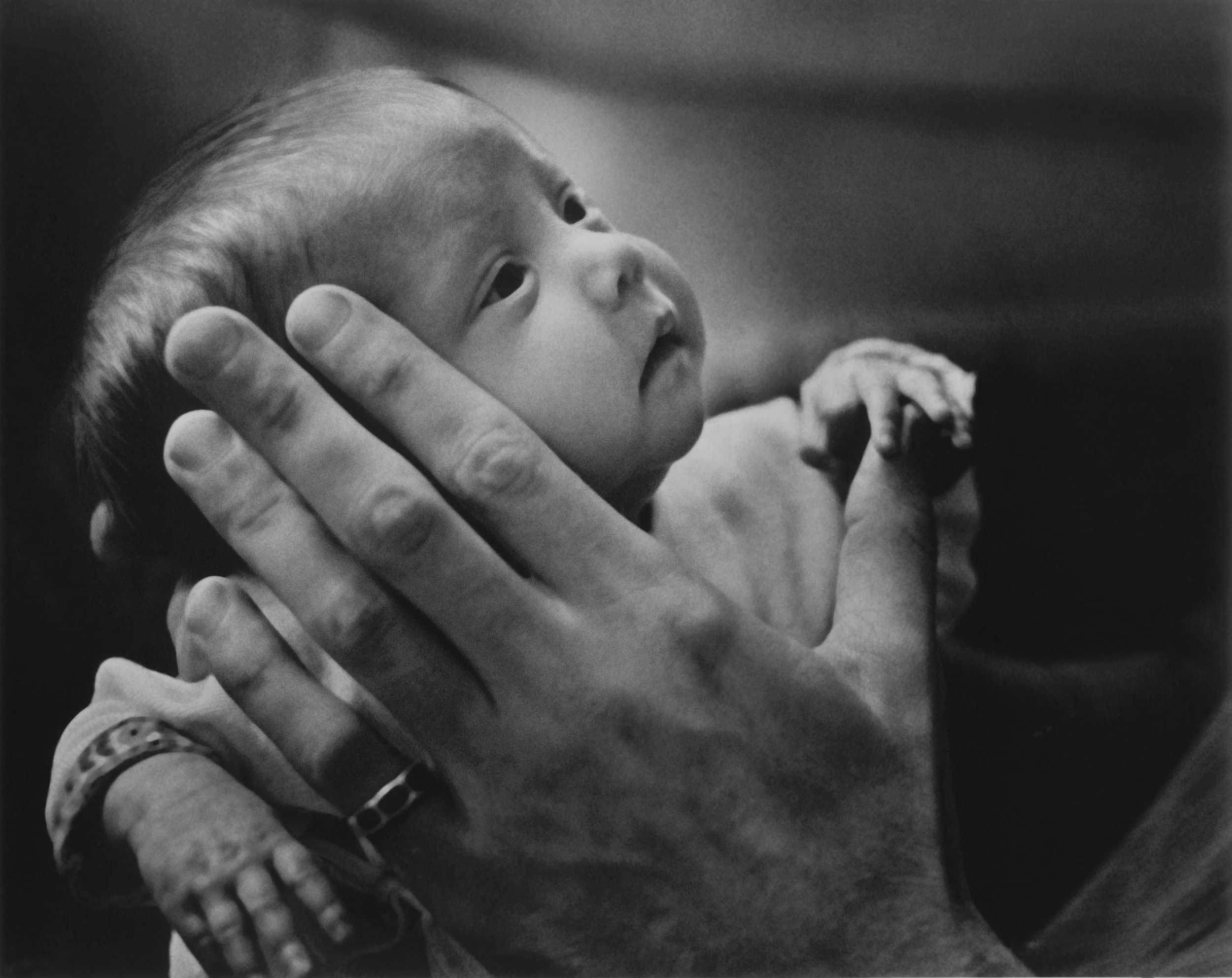 Handful of Hope.image only (2).jpg