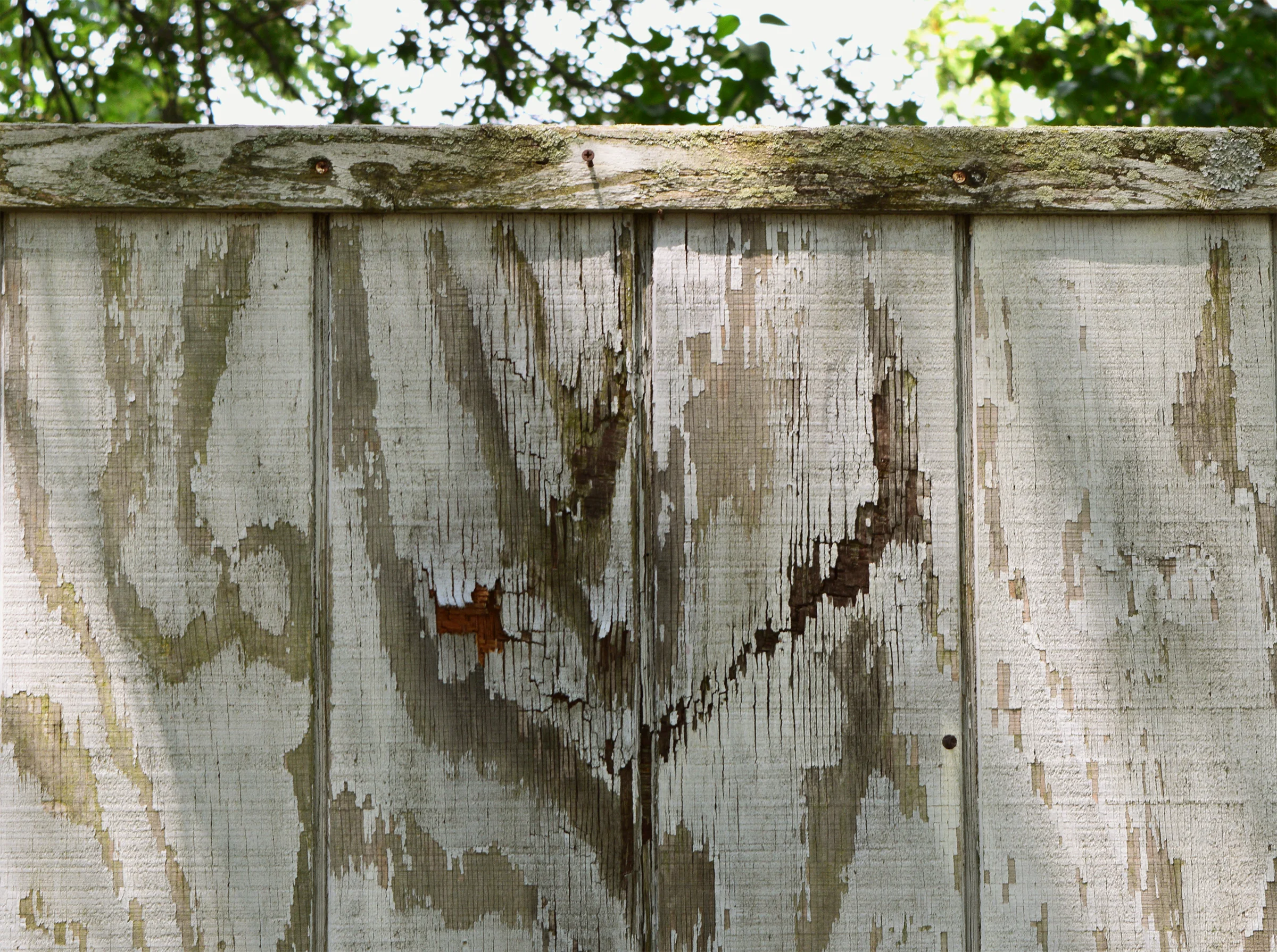 Fence.jpg