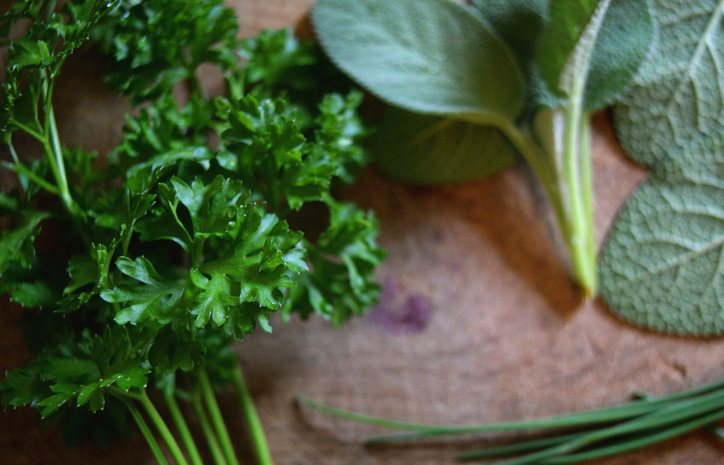 Herbs.jpg