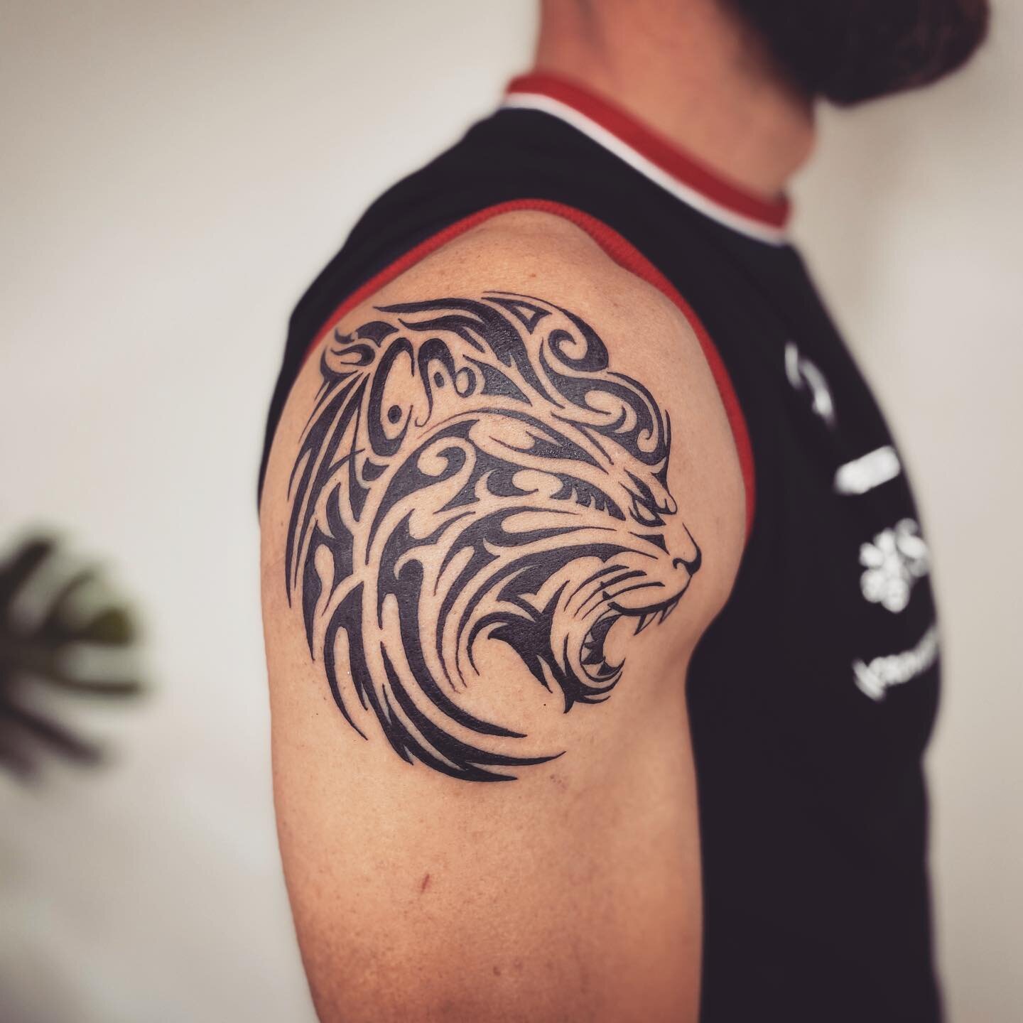 Tribal lion 
Dm for bookings and enquiries, 
thanks Jim  @_crownofthorns 
#lion #liontattoo #lions #tribaltattoo #blackworkers #blacktraditionaltattoo #tattooideas ##blackworkers_tattoo #inkedgirls #inked #inktattoo #darkart #illustration #occult #bl