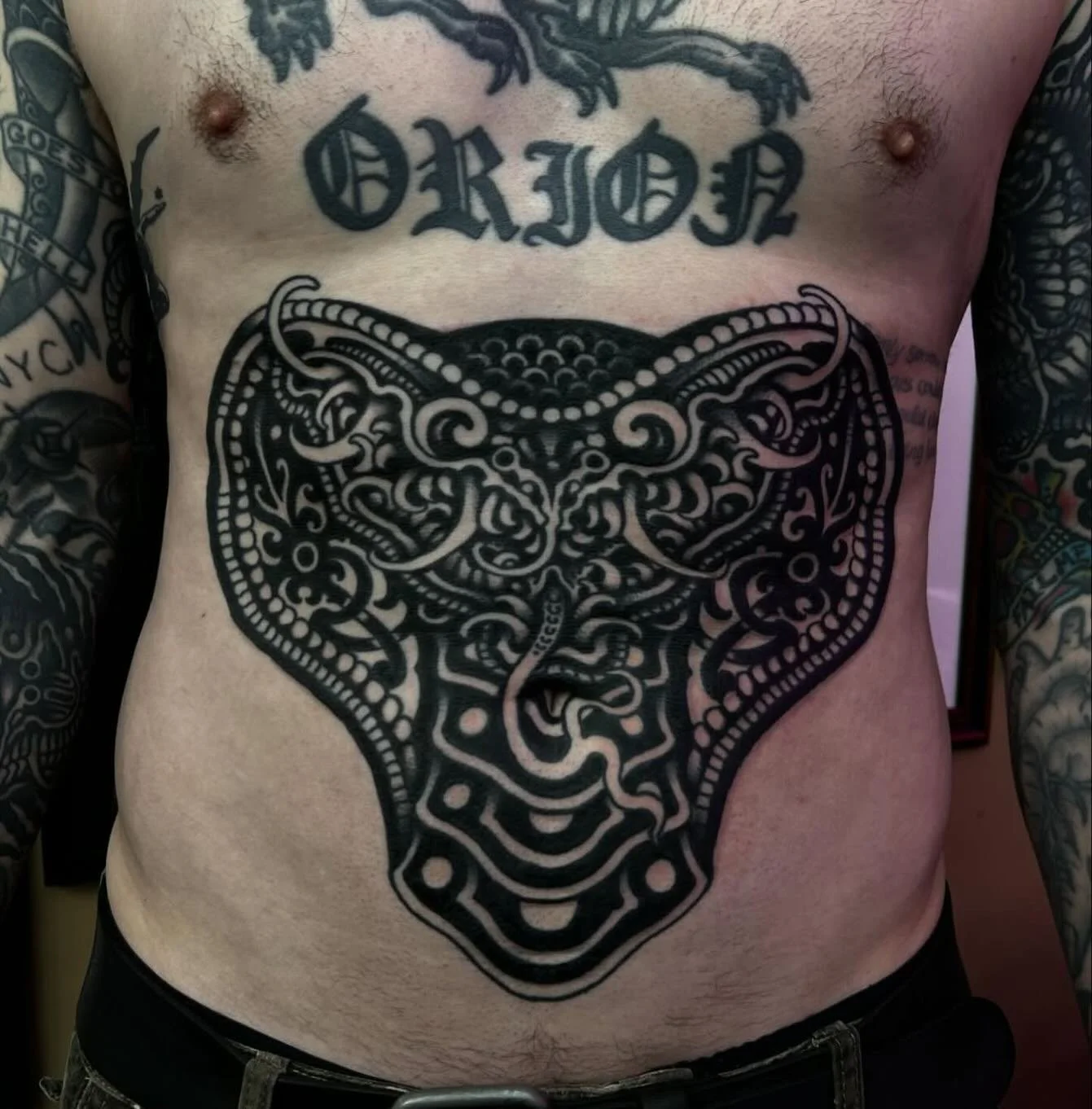 Cobra by @will_geary email him for bookings