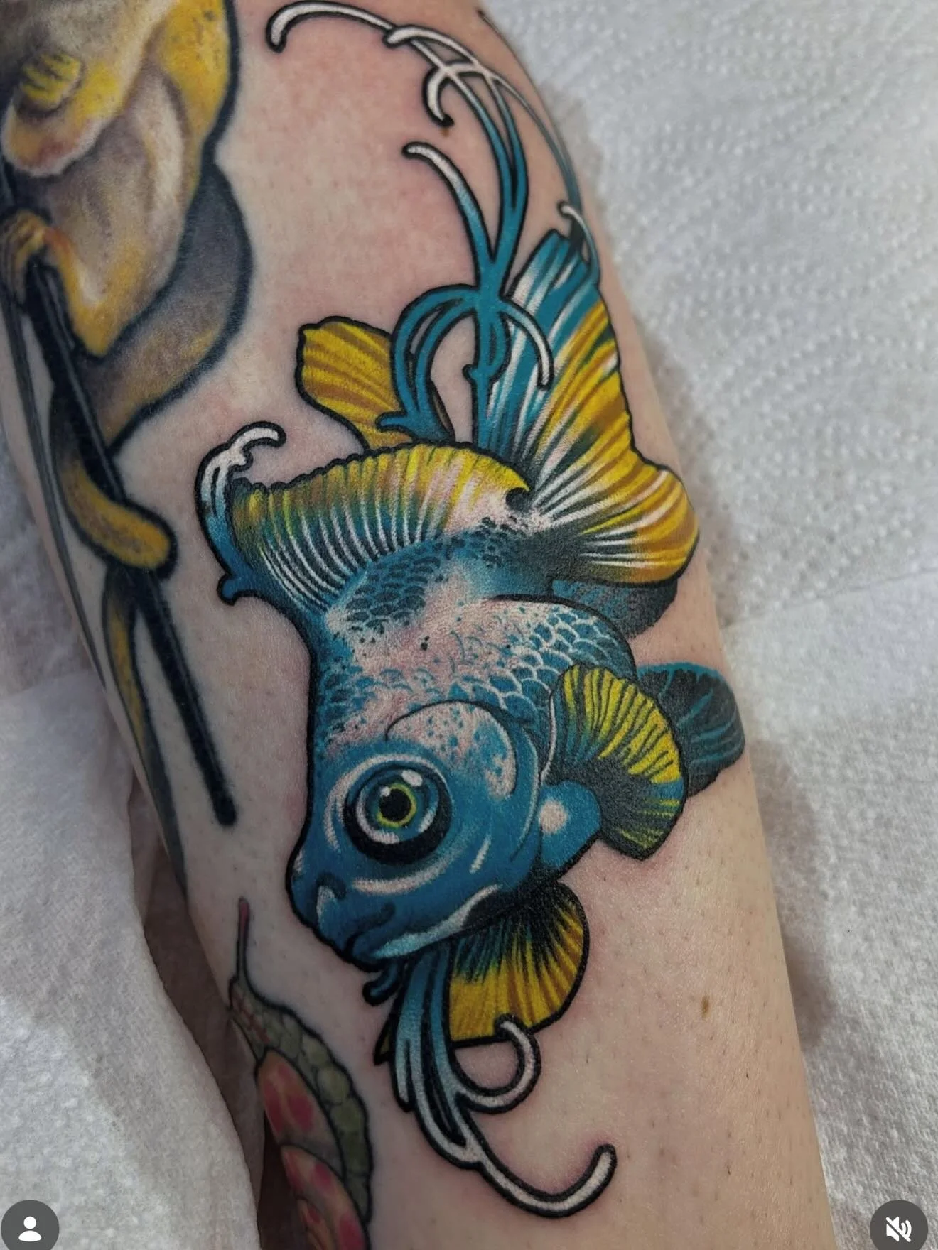 Check out some recent work by @sunnywild.art he will be doing monthly guest spots with if so check him out and shoot him a message if your interested in getting tattooed