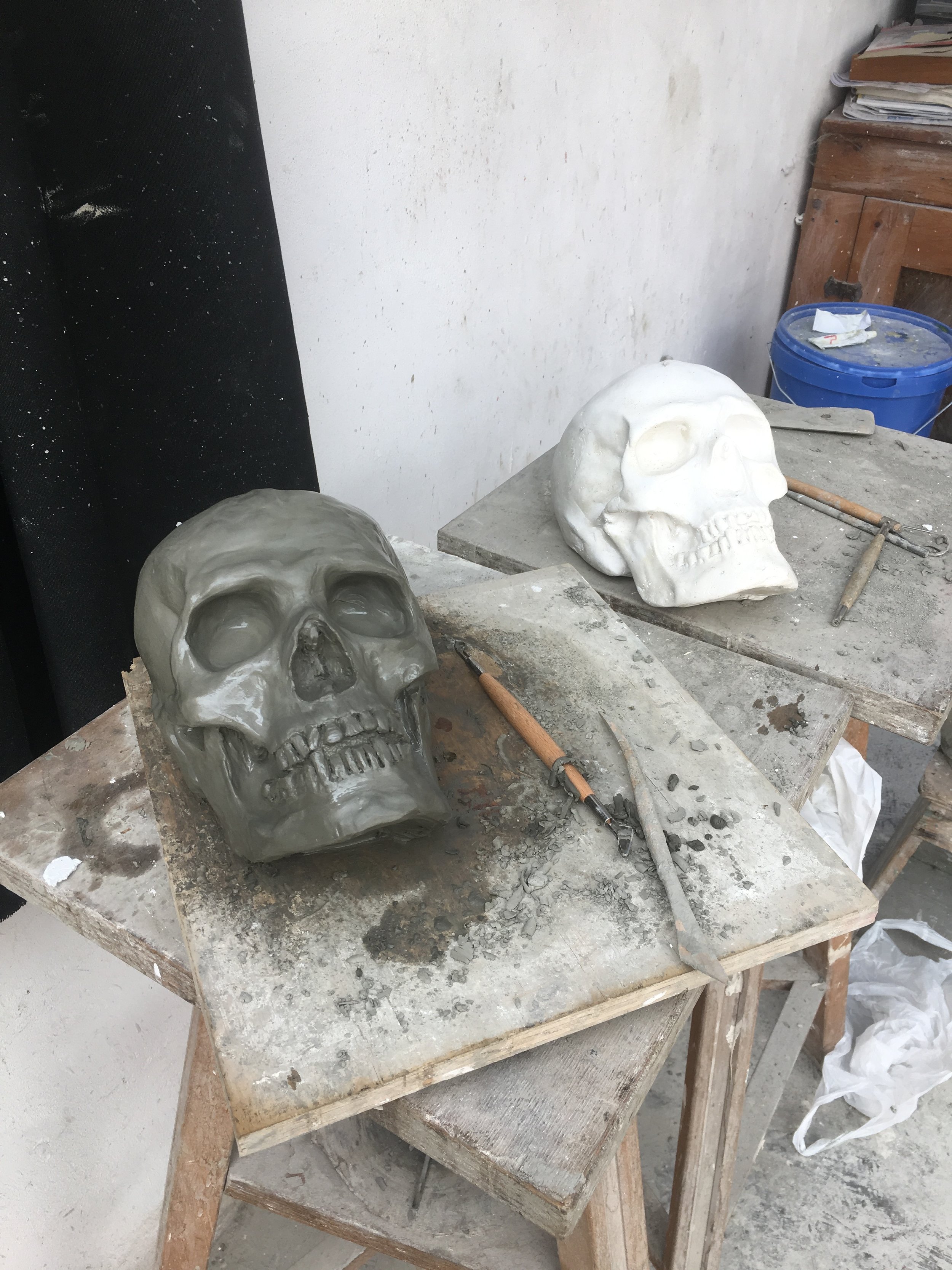 Galleria Romanelli, Anatomy Study