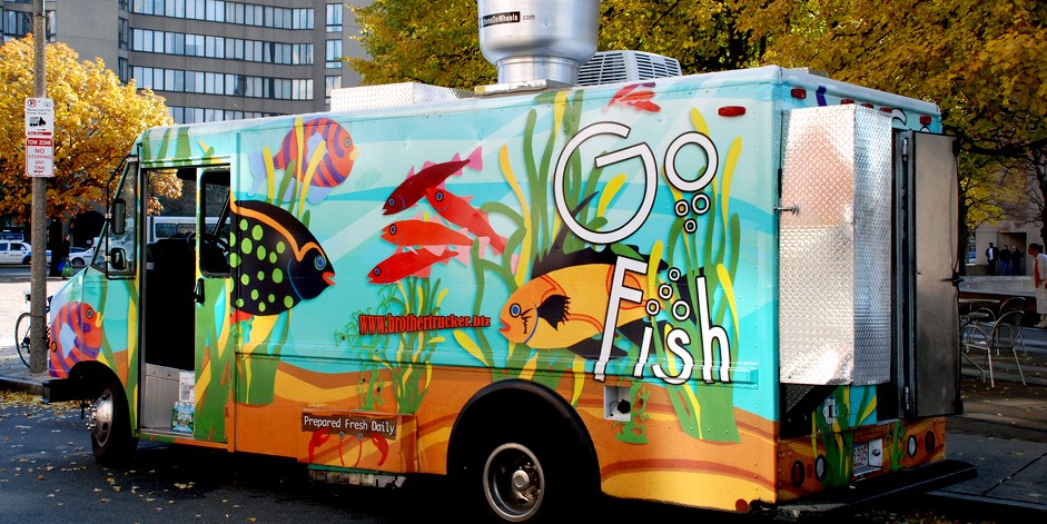 go-fish-main-2.jpg