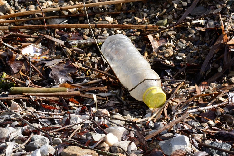 Recycling-Plastic-Bottle-Garbage-Plastic-1184735.jpg