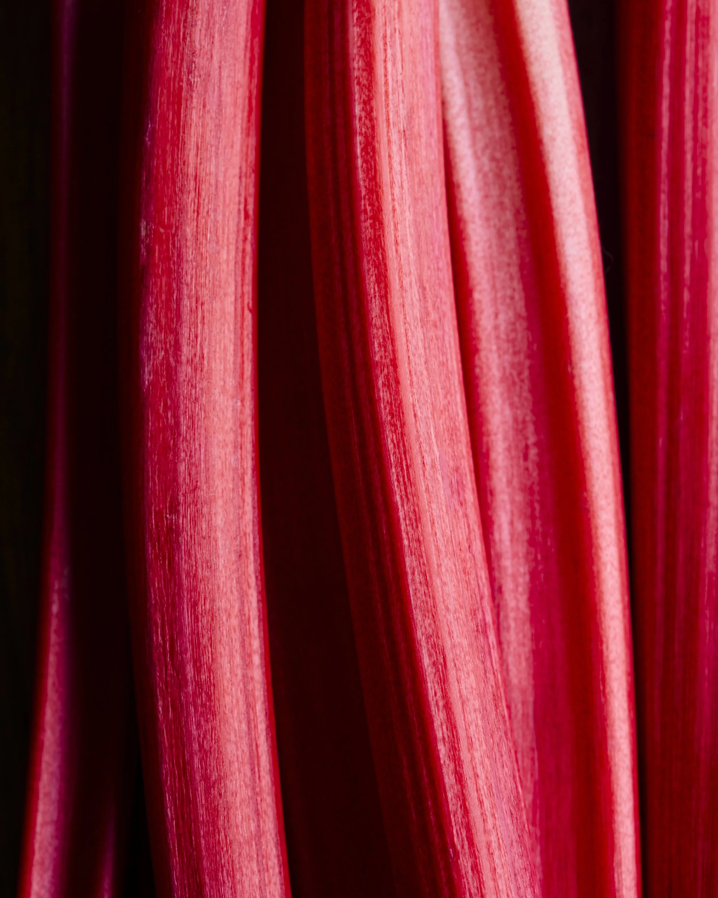 Rhubarb and Custard