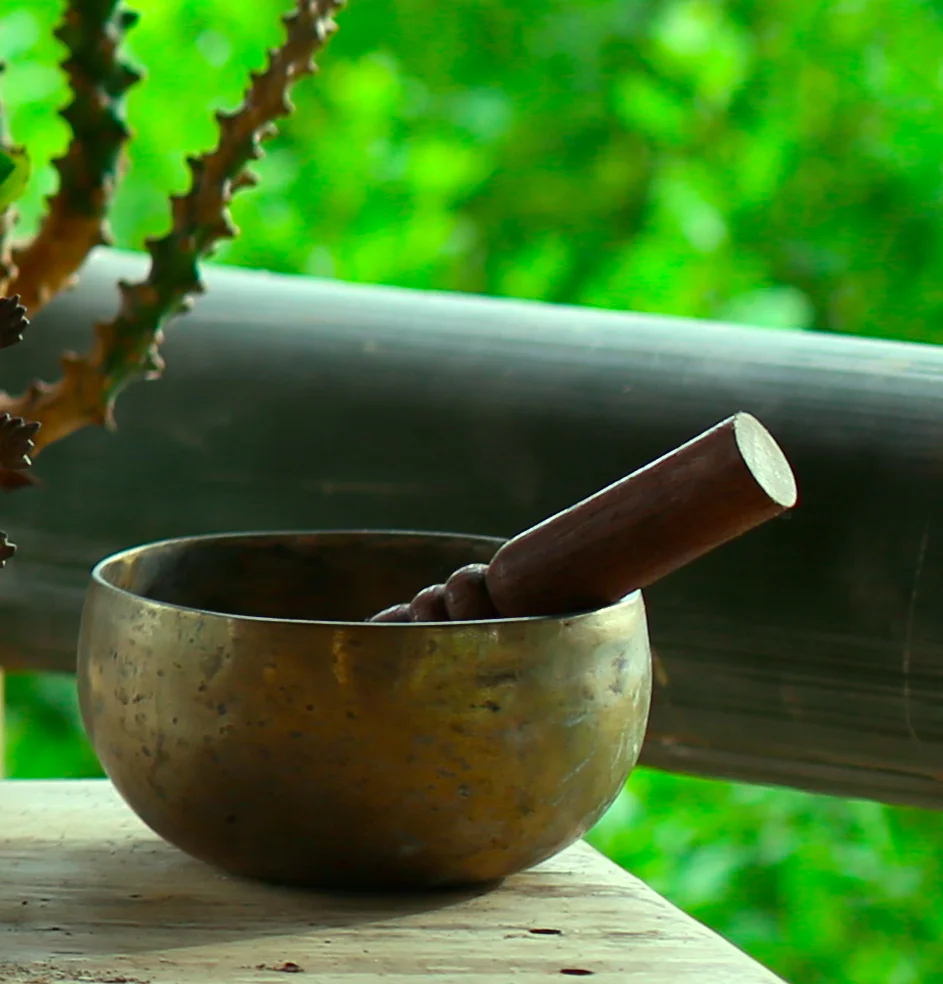 Singing Bowl.jpeg