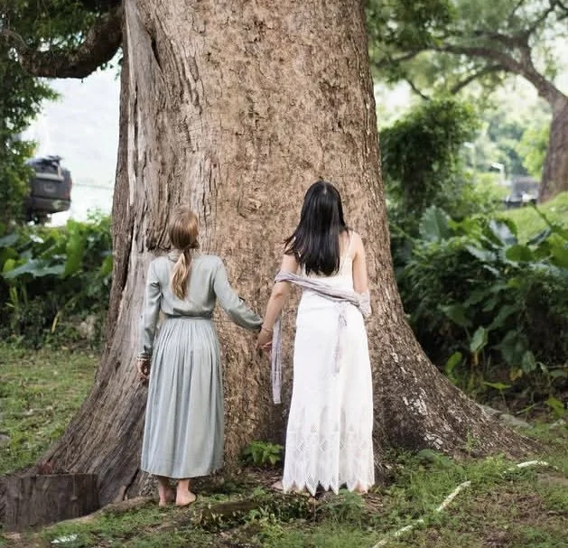 Tree with Alice_Bliss retreats cropped.jpg