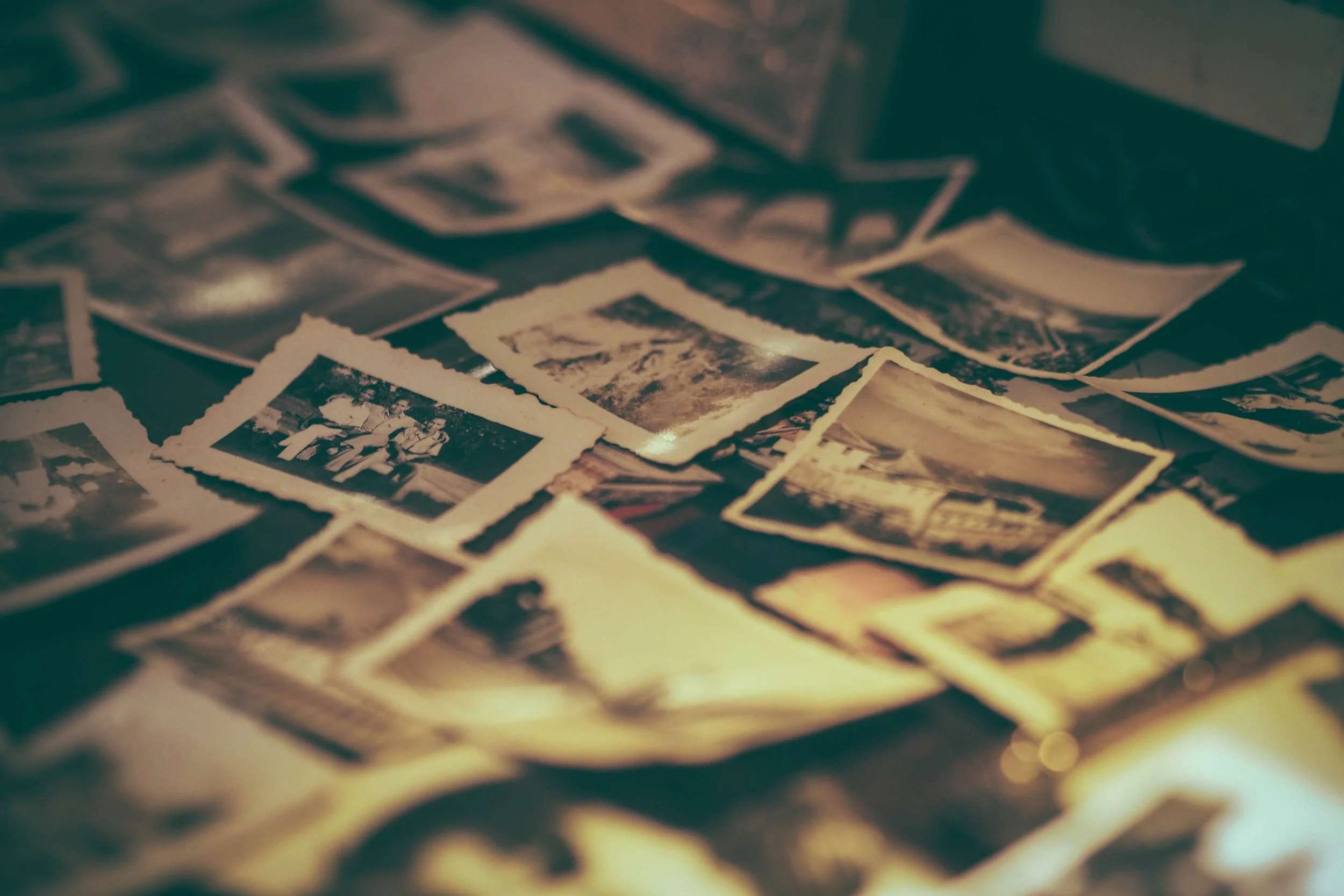 album-antique-arrangement-699782.jpg