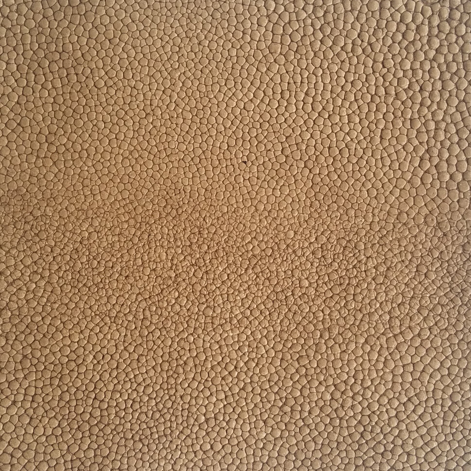 Sand+Shagreen.jpg