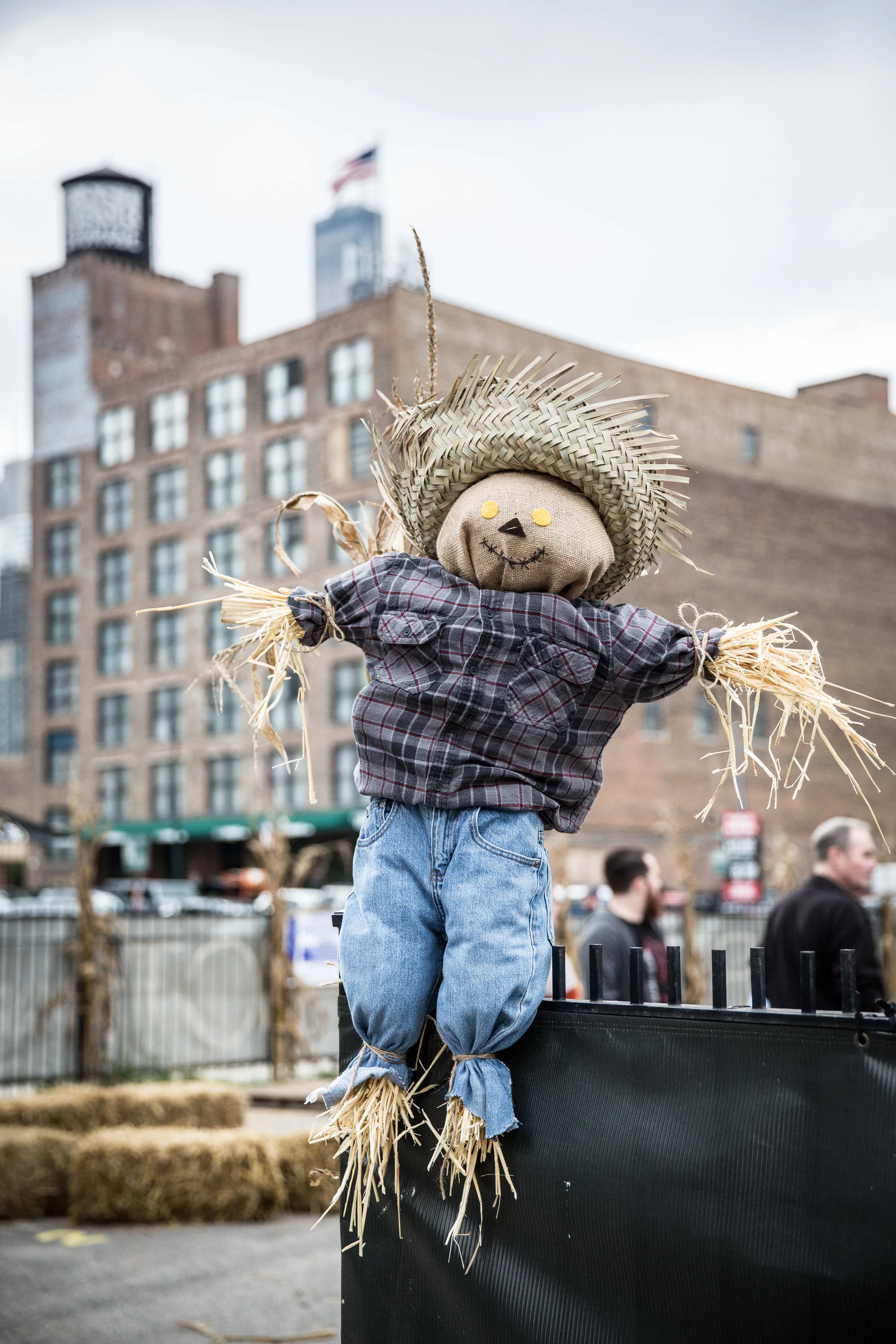 FM Harvest Fest 02OCT2016 GALDONES PHOTOGRAPHY-2.jpg