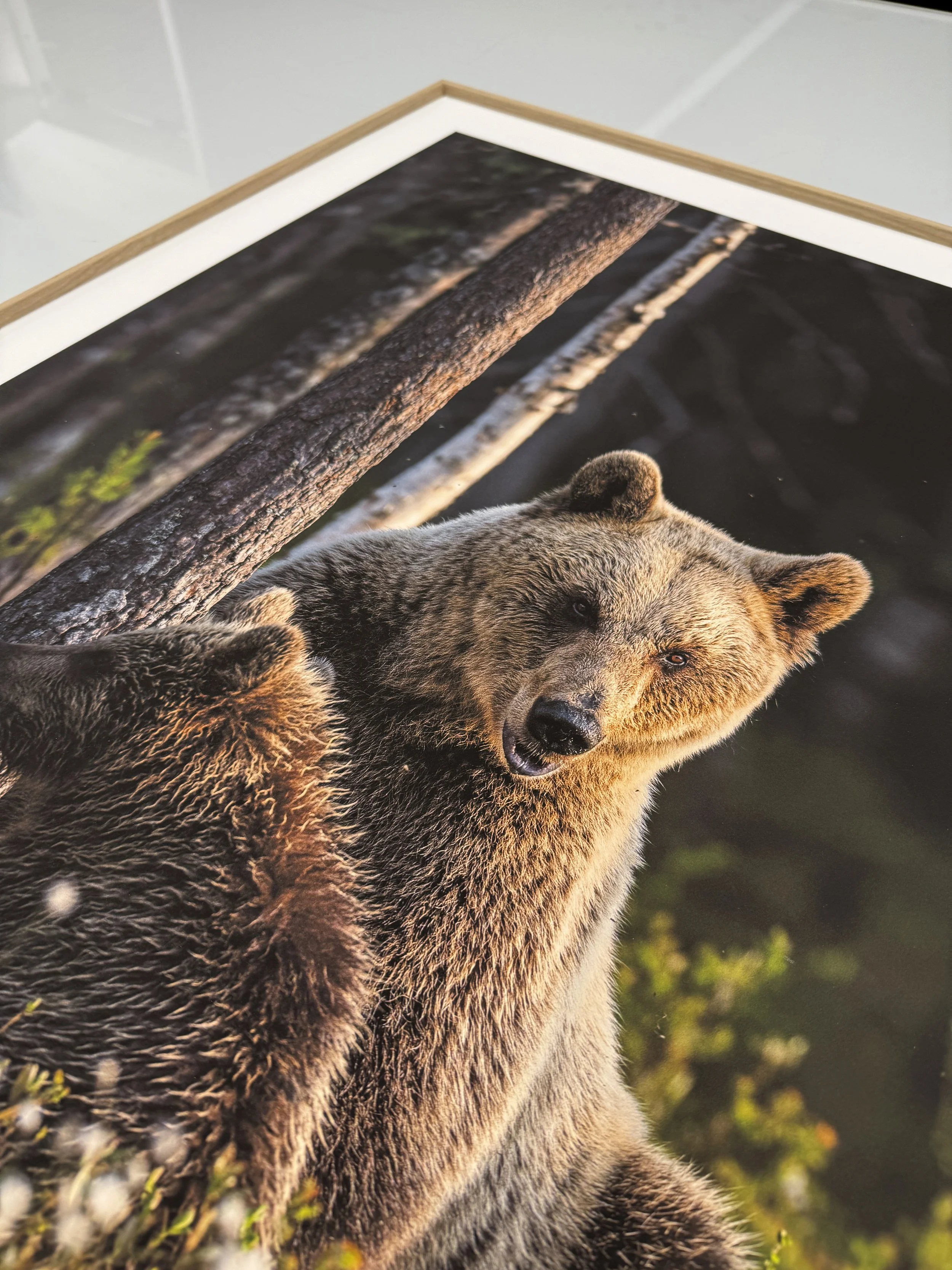 Frame in alu wood oak