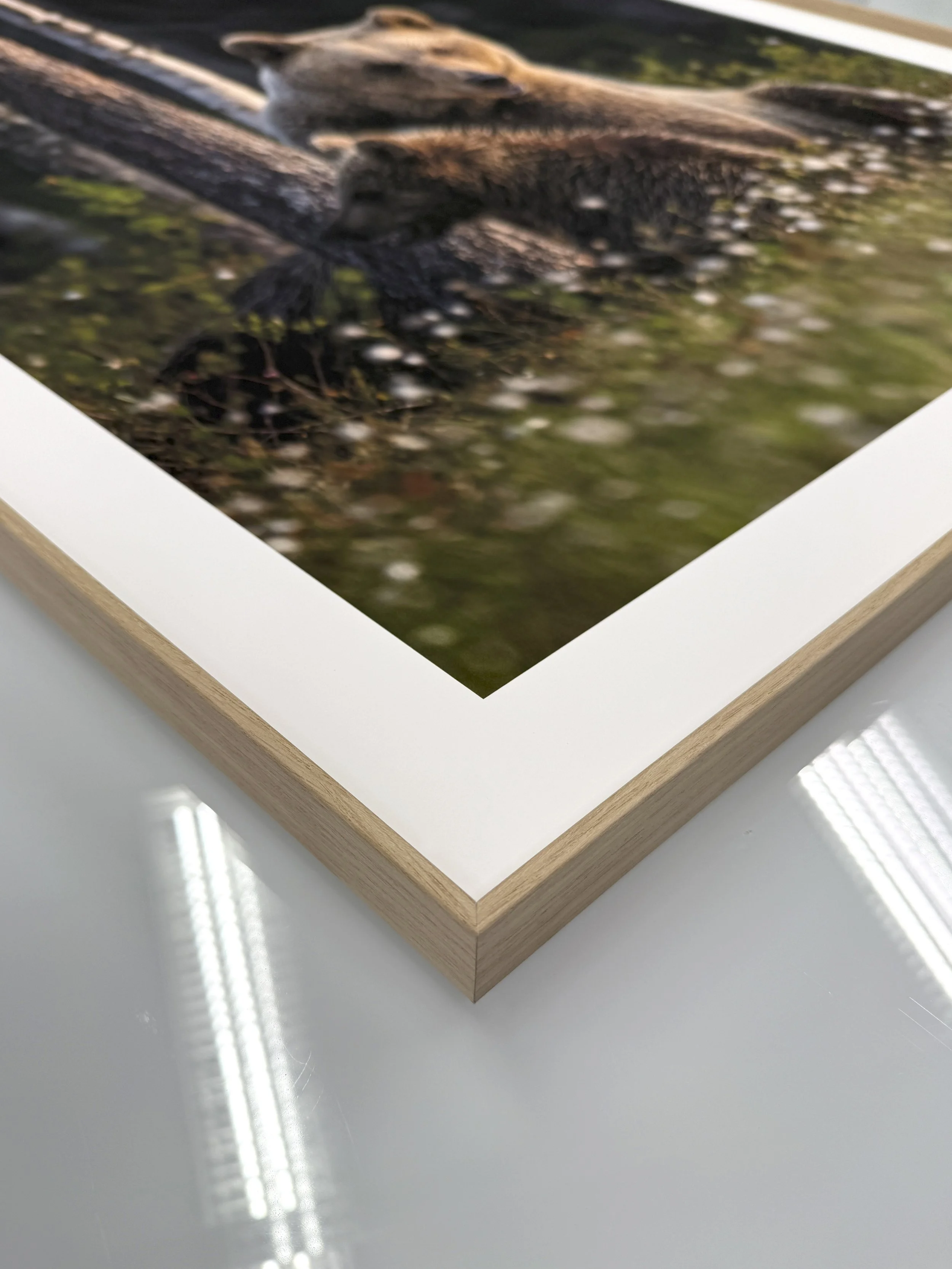 Frame in alu wood oak