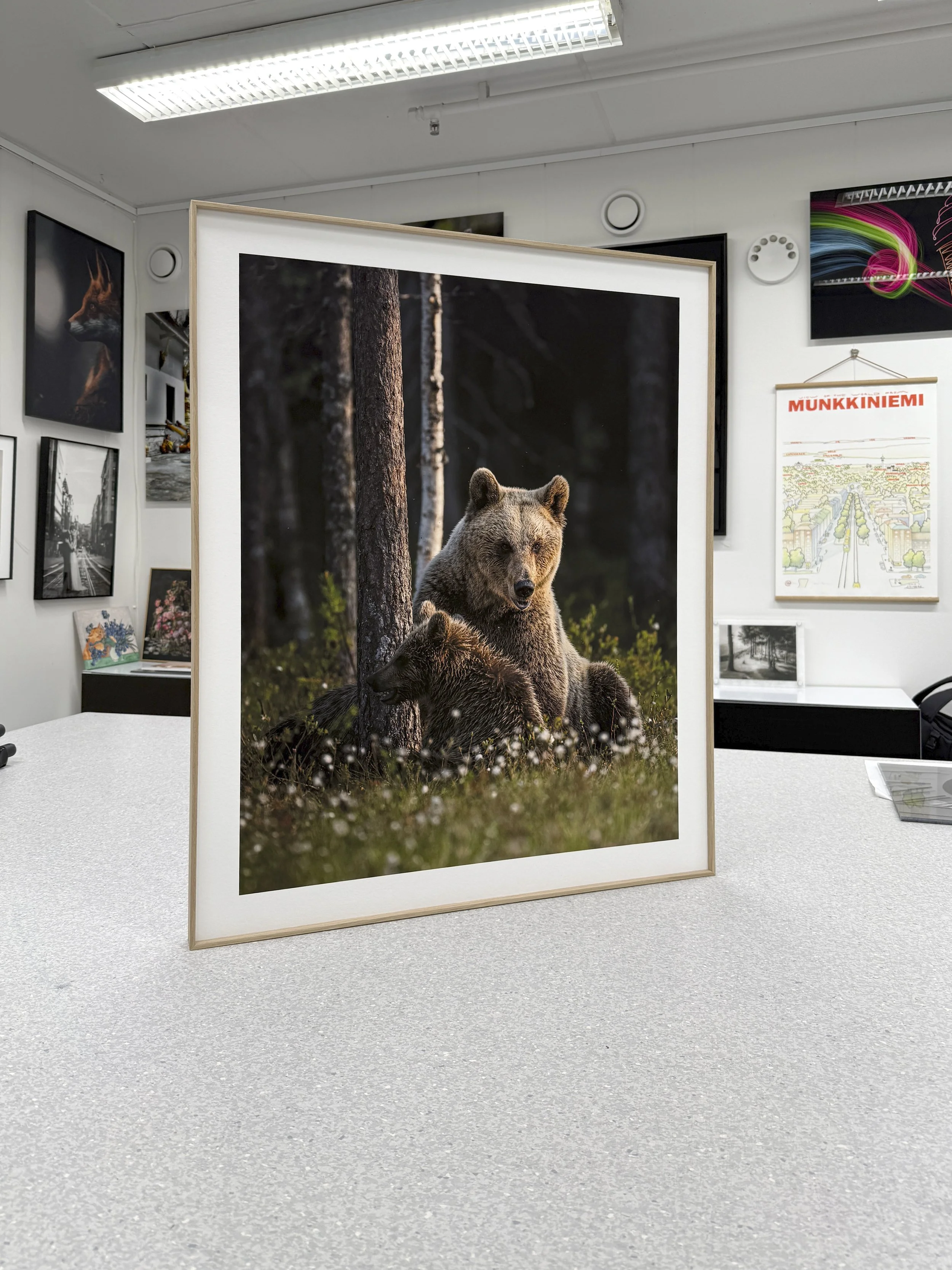 Frame in alu wood oak