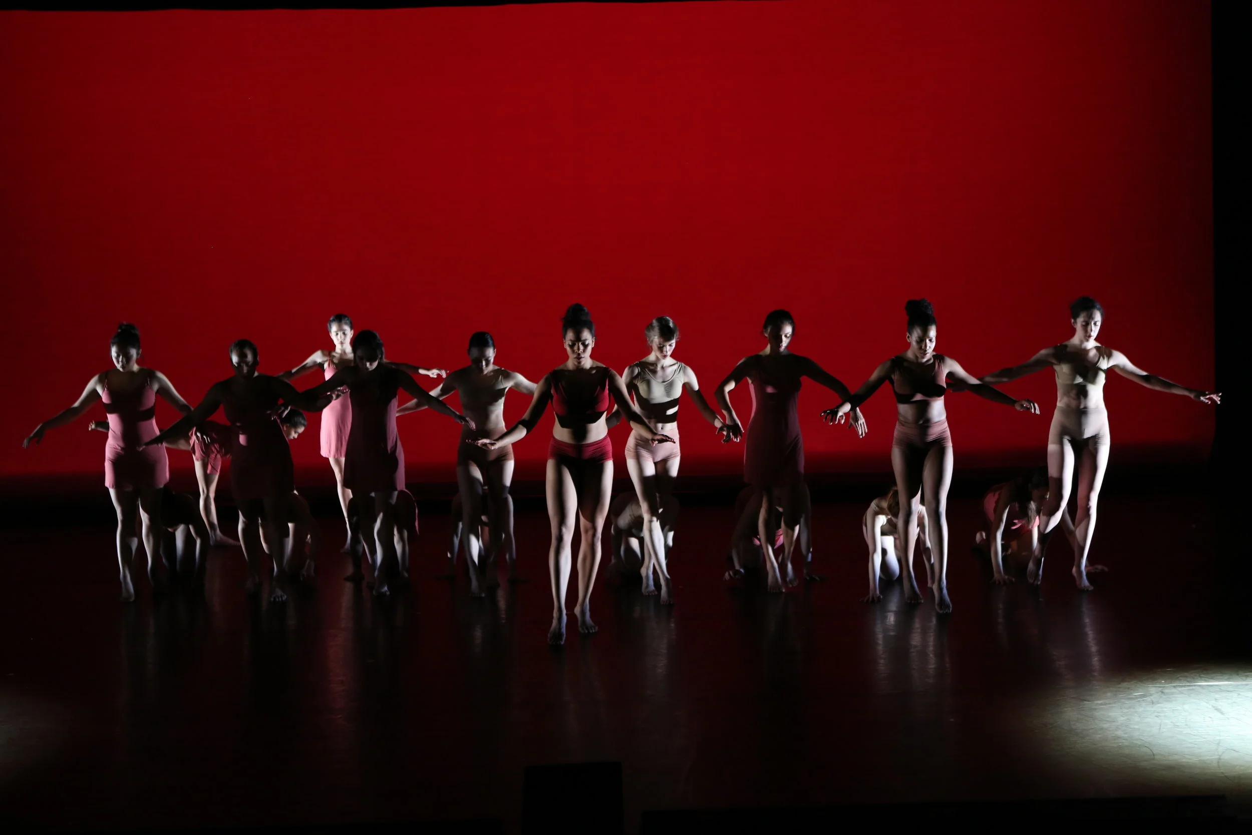 pro-ceed..pro-gress, SADC 3, 02-2018, photo by Ella Bromblin (93).JPG