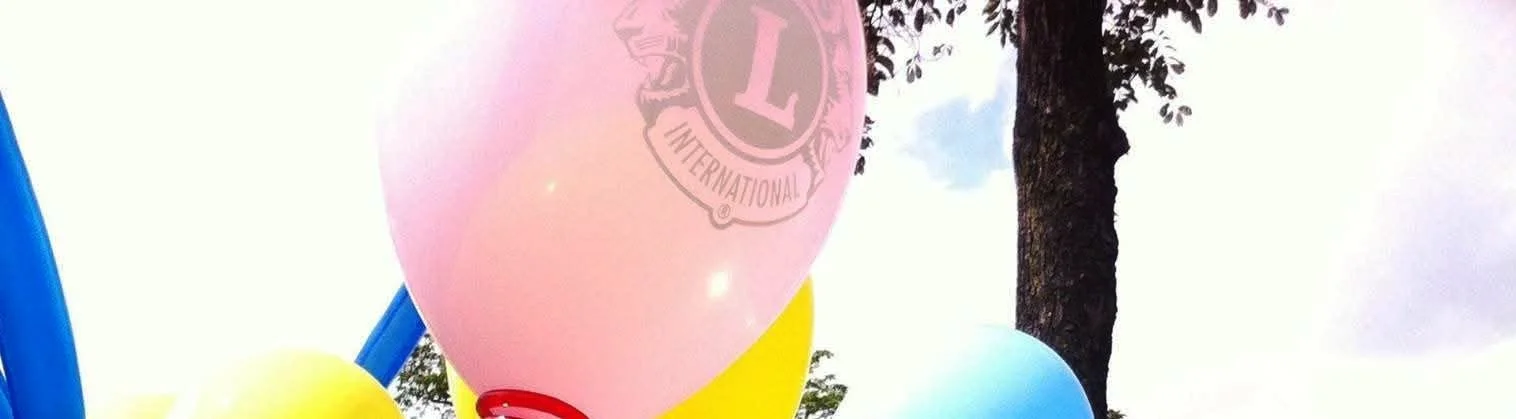 FB lions banner.jpg