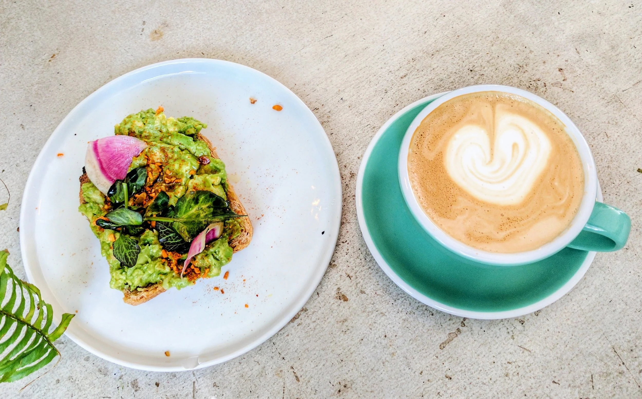 Lavender latte + seasoned avocado toast on multigrain sourdough with pickled shallot, dukkah and lime. 