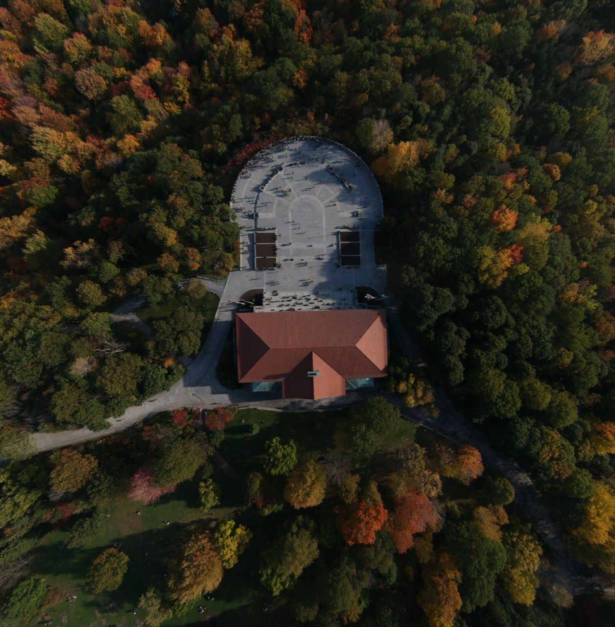 image8.png