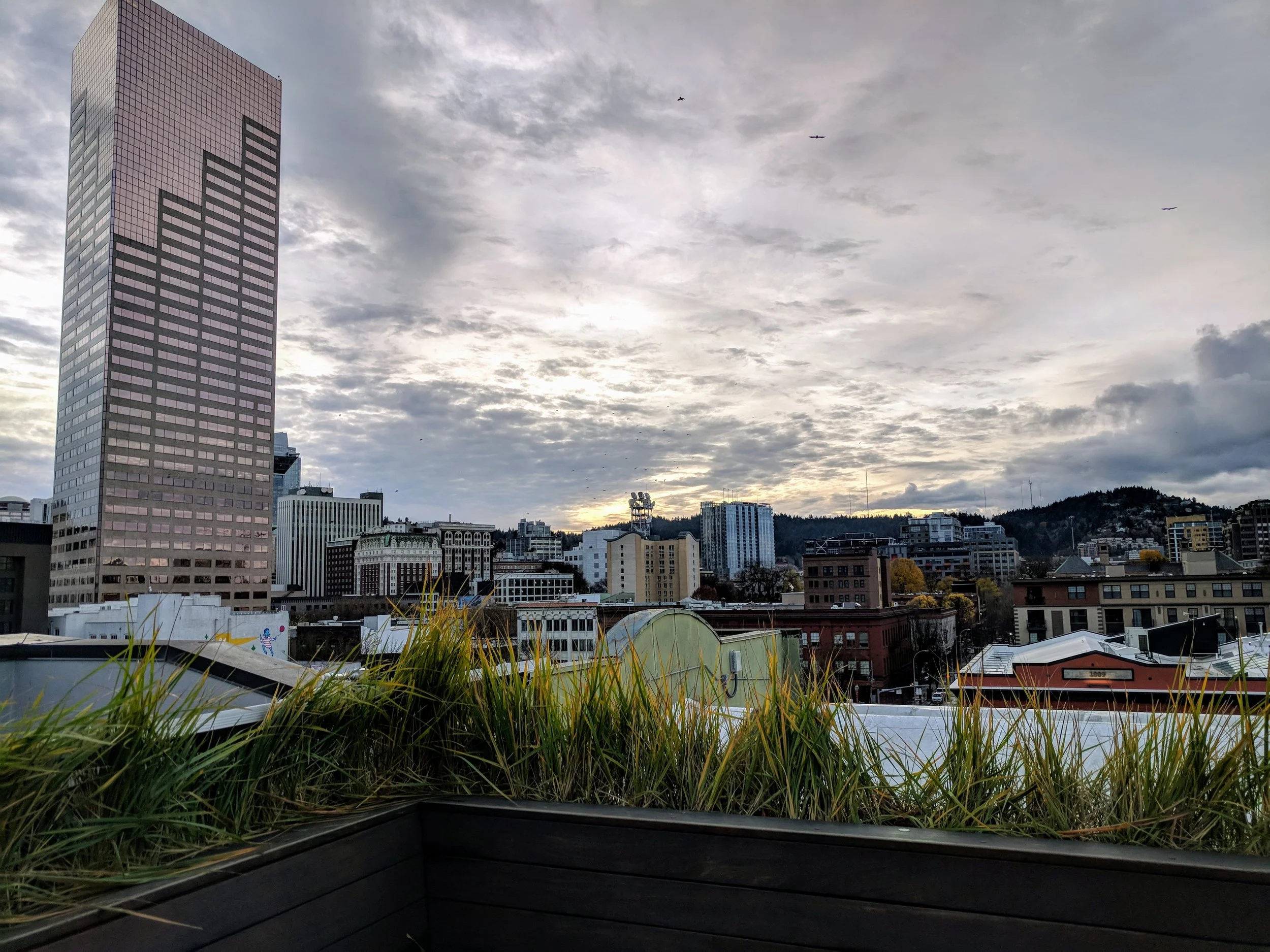 society-hotel-rooftop-view.jpg