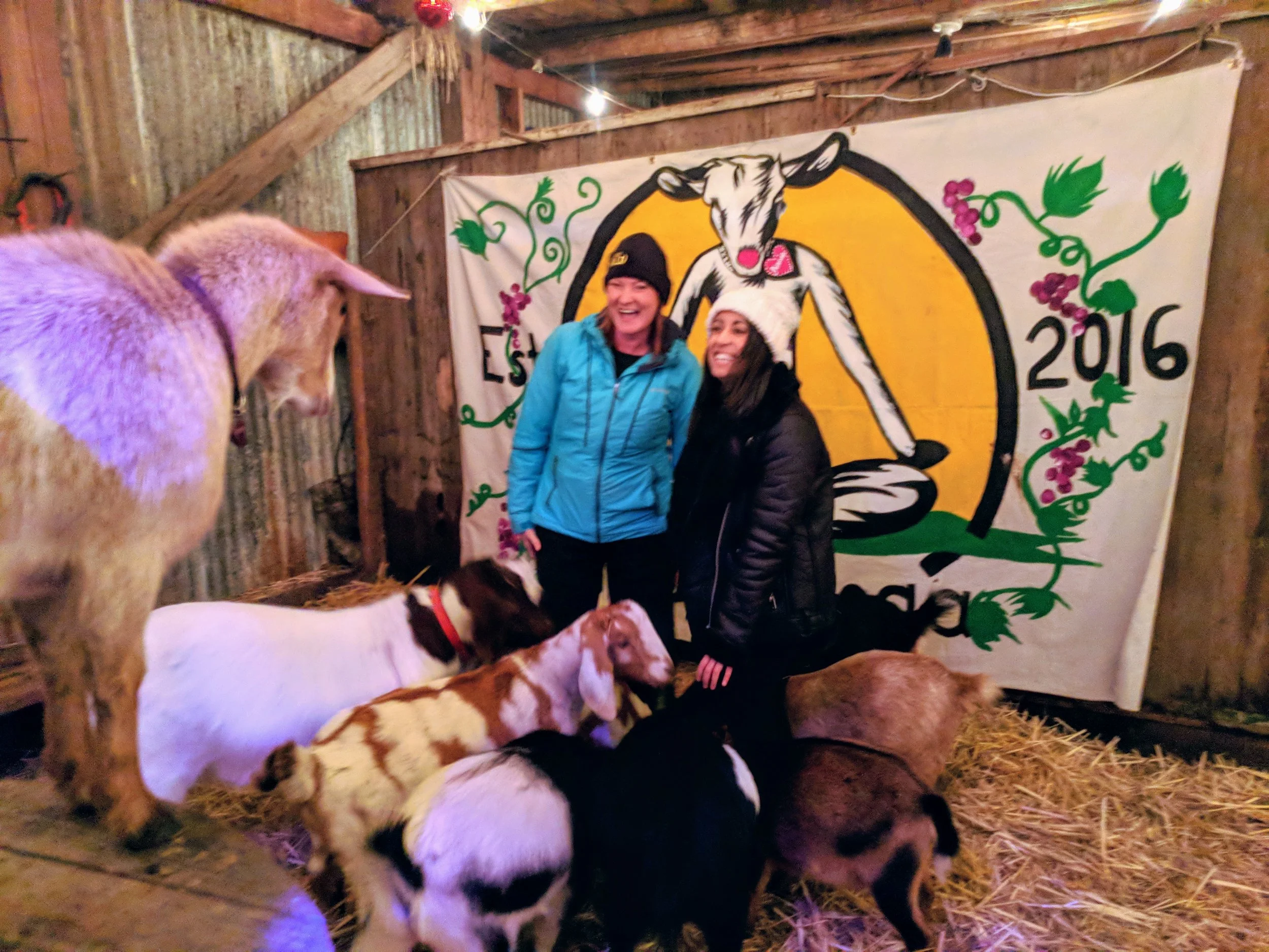lainey-goats-me.jpg