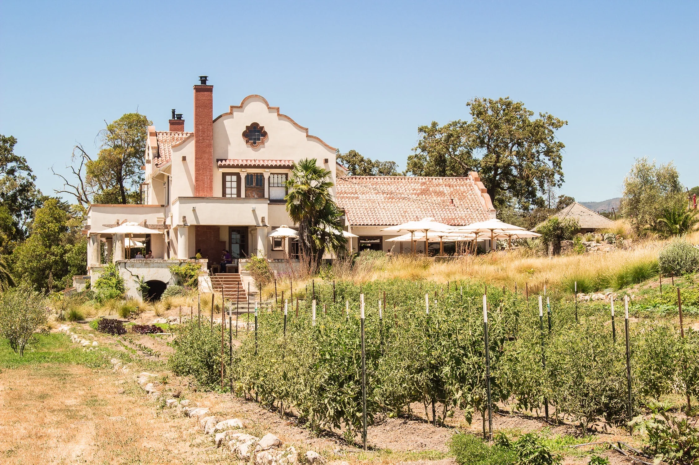 TBP-ScribeWinery-1.jpg