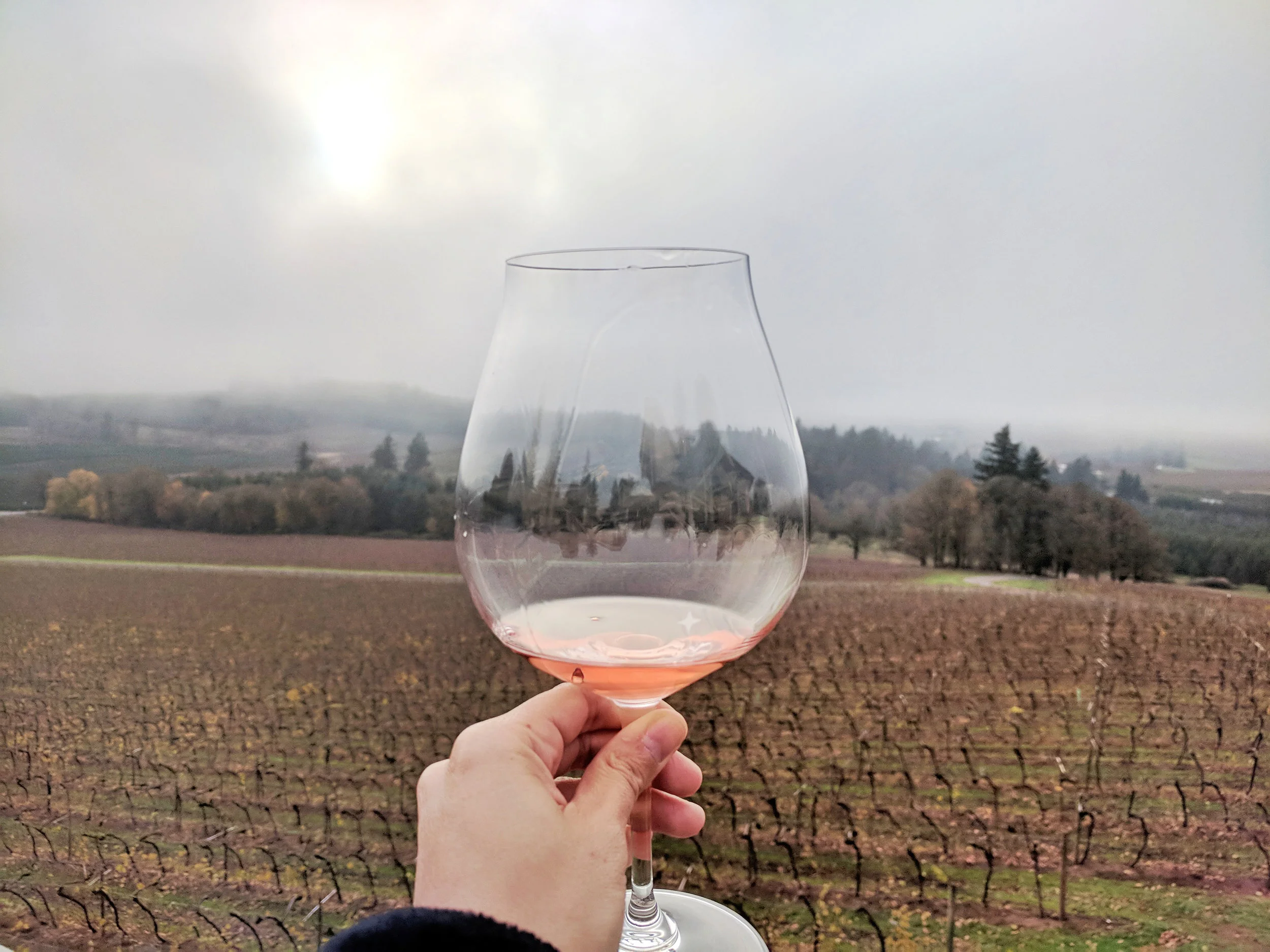 willamette-valley-wine-tasting.jpg