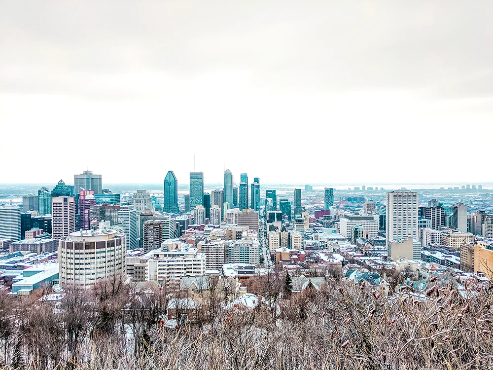 Mont Royal viewpoint
