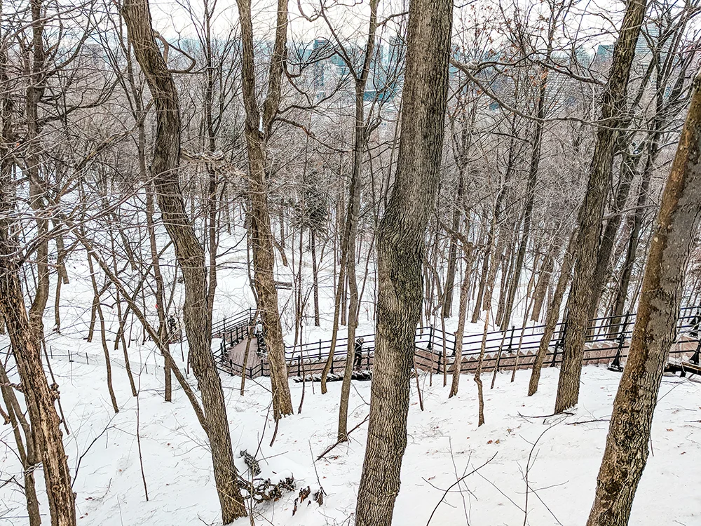 MTL-Mont-Royal-stairs_SMALL.jpg