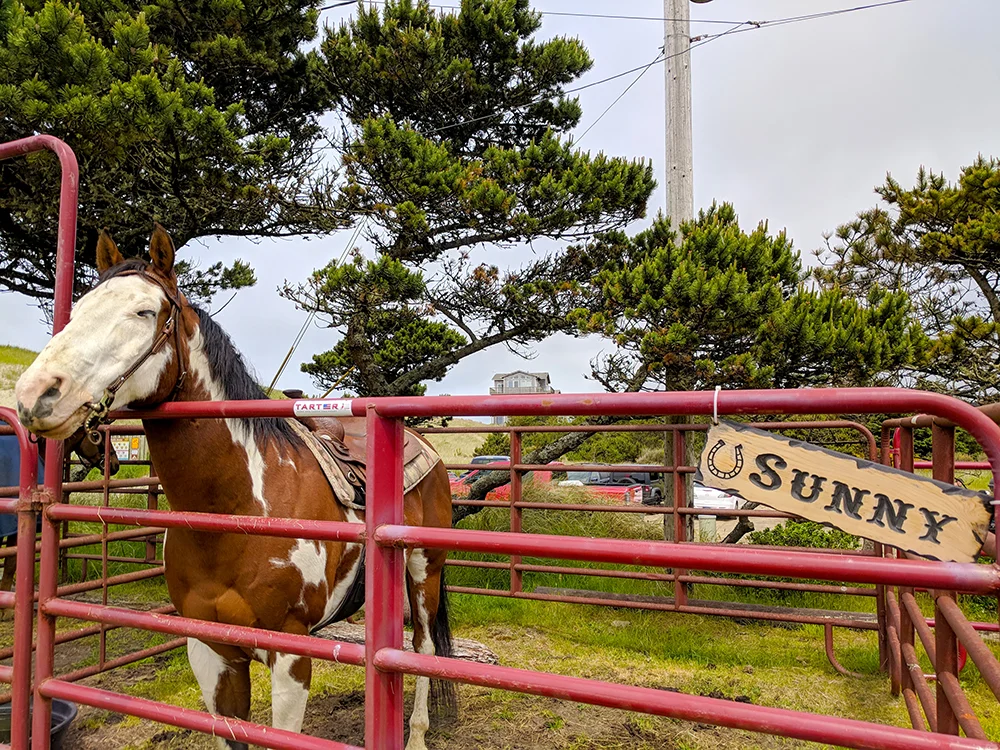 Green-Acres-Beach-Rides-Sunny.jpg