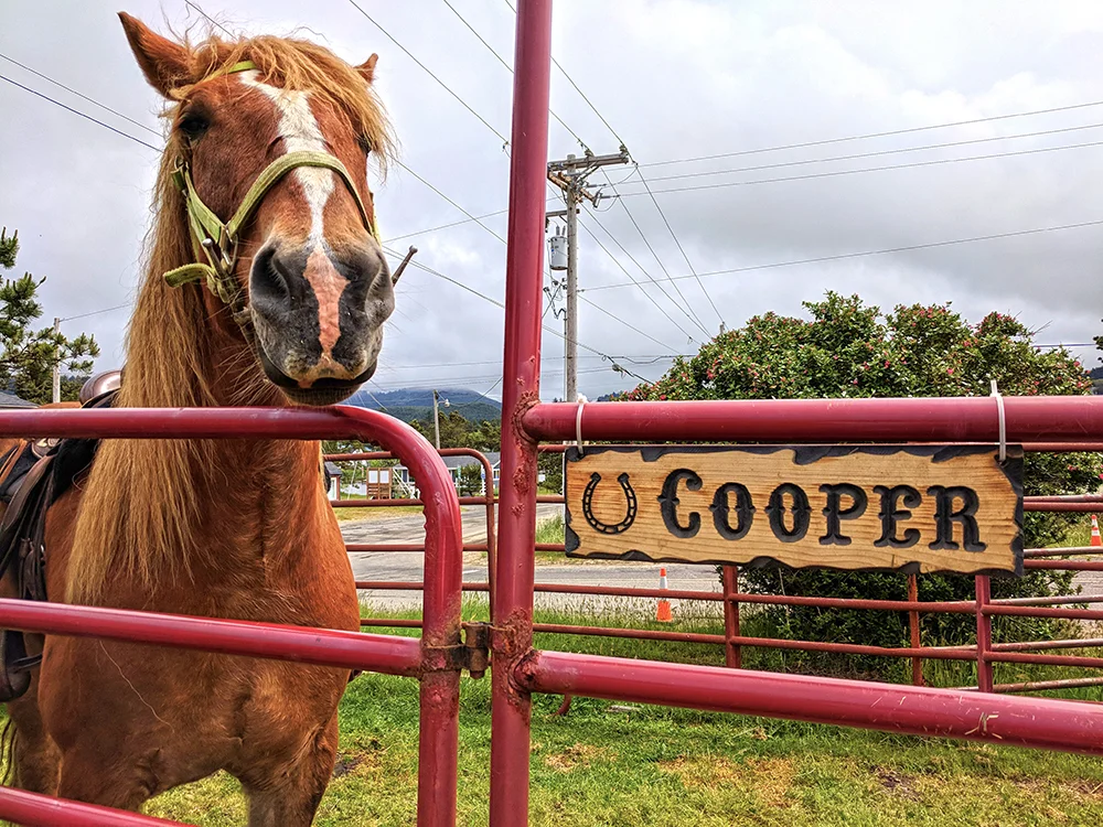 Green-Acres-Beach-Rides-Cooper.jpg