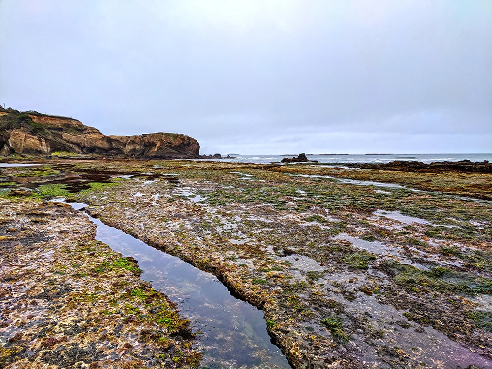 Devils-Punchbowl-beach.jpg