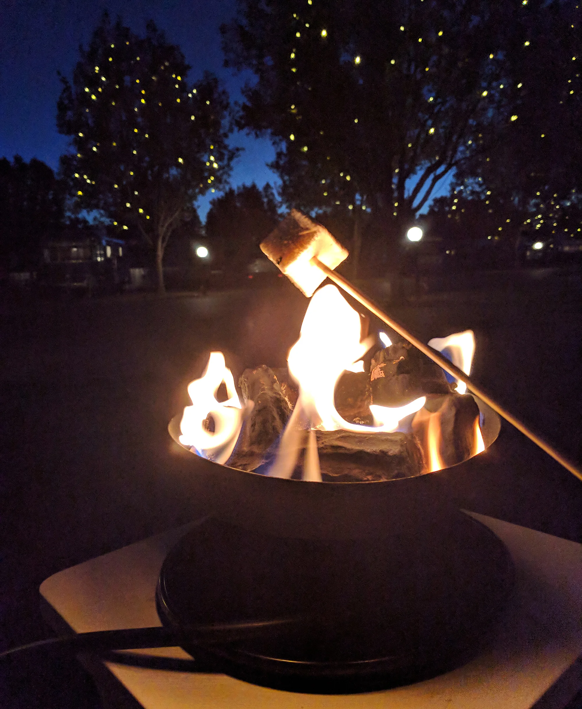 roasting smores.jpg