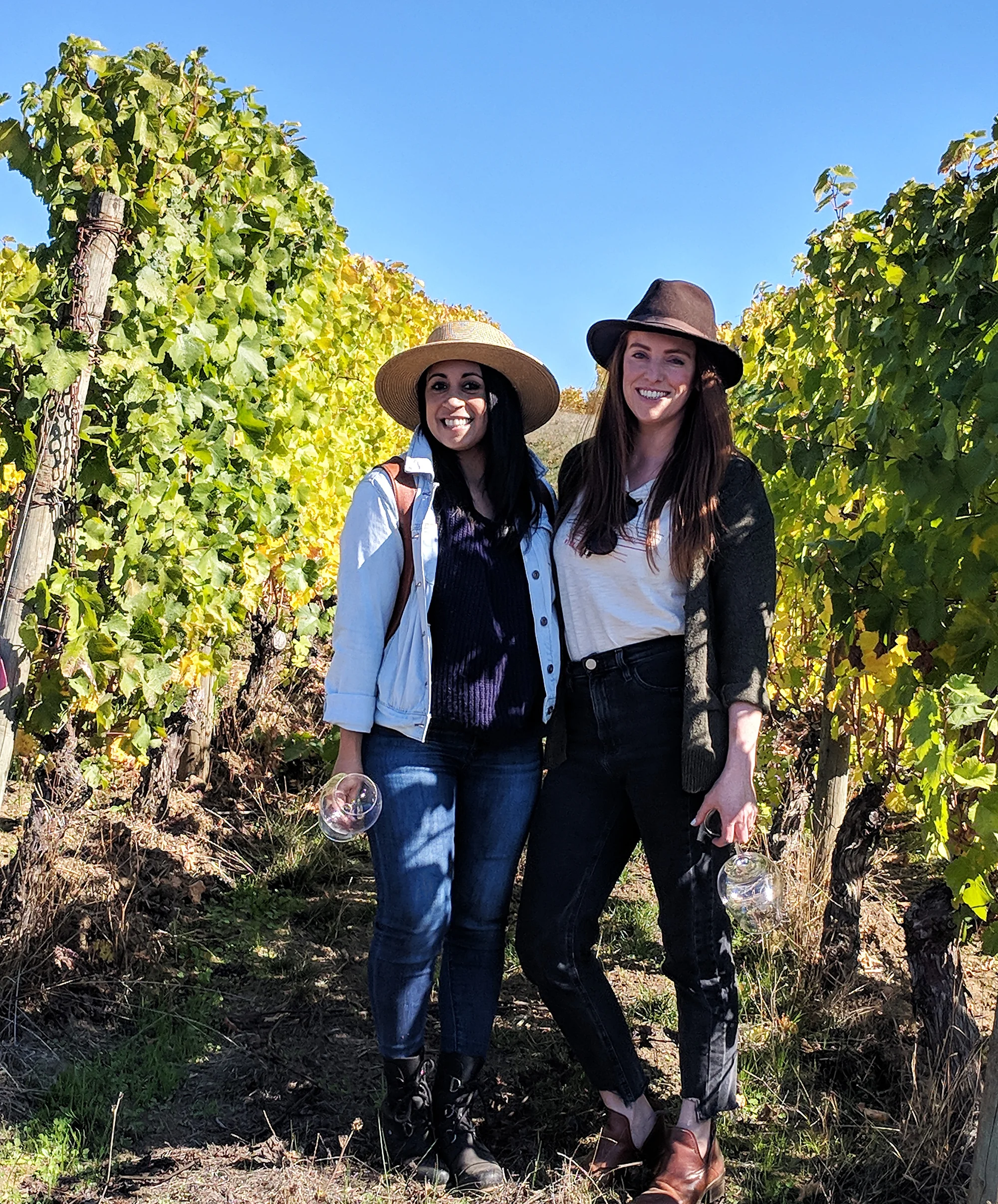 wine tasting in vineyard.jpg
