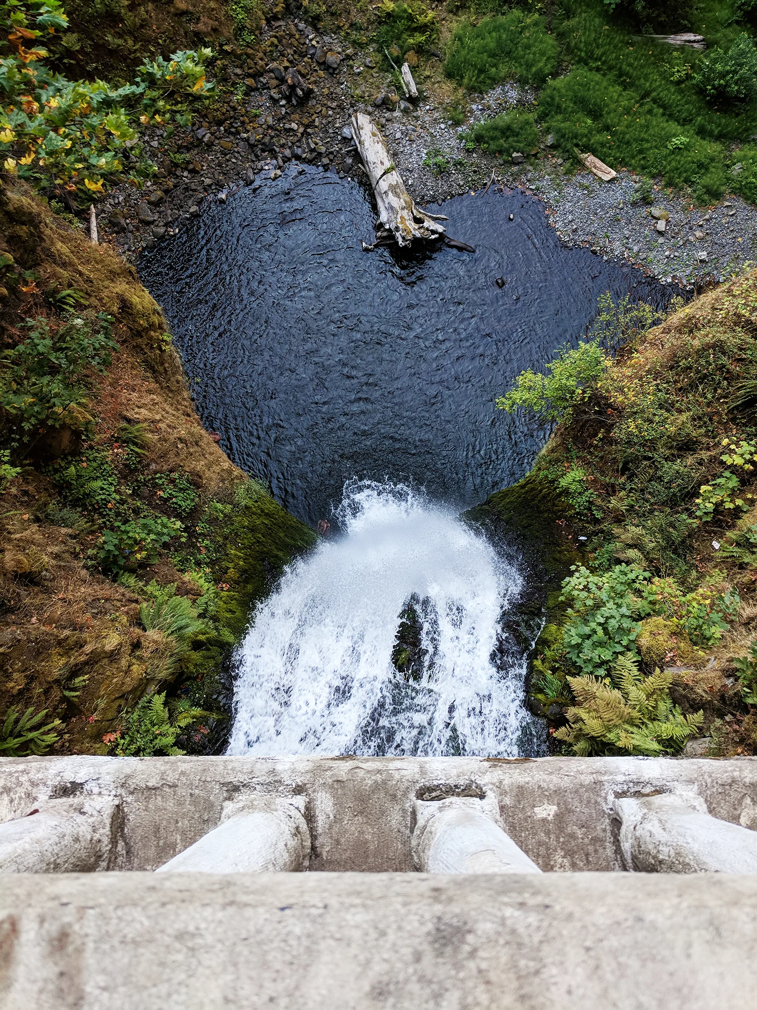 Multnomah Falls bridge view.jpg
