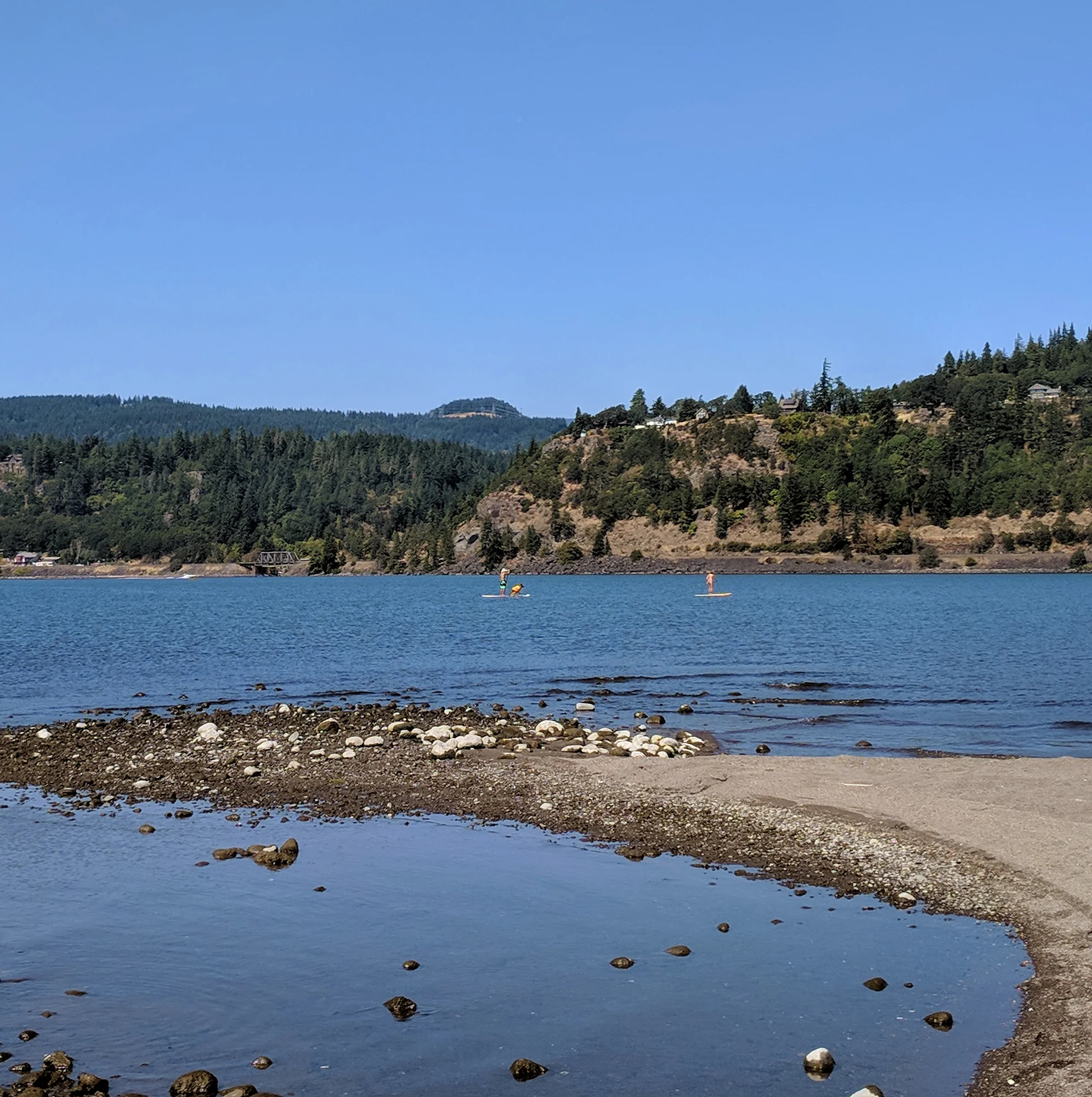Hood River SUP paddleboarding.jpg